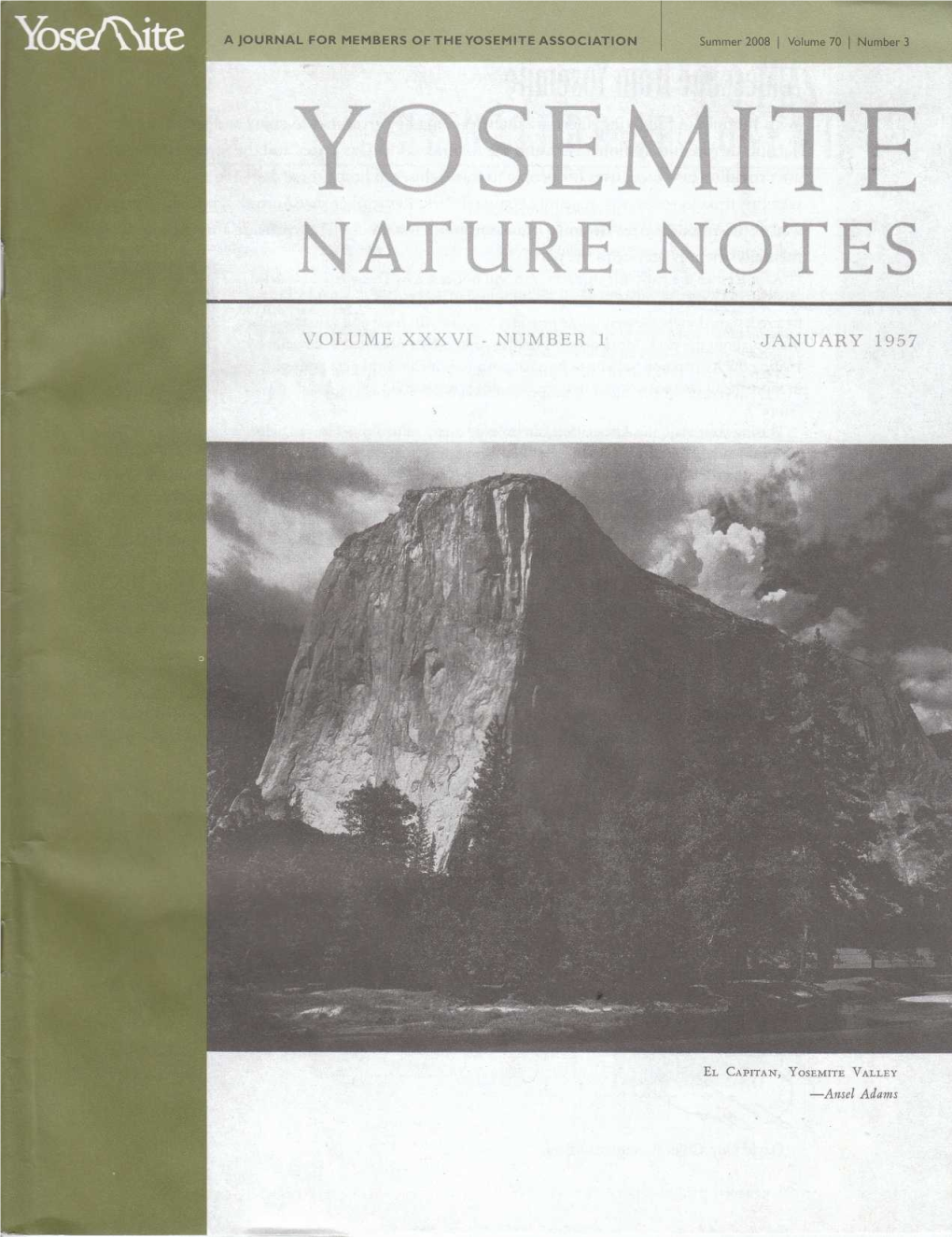 Nature Notes