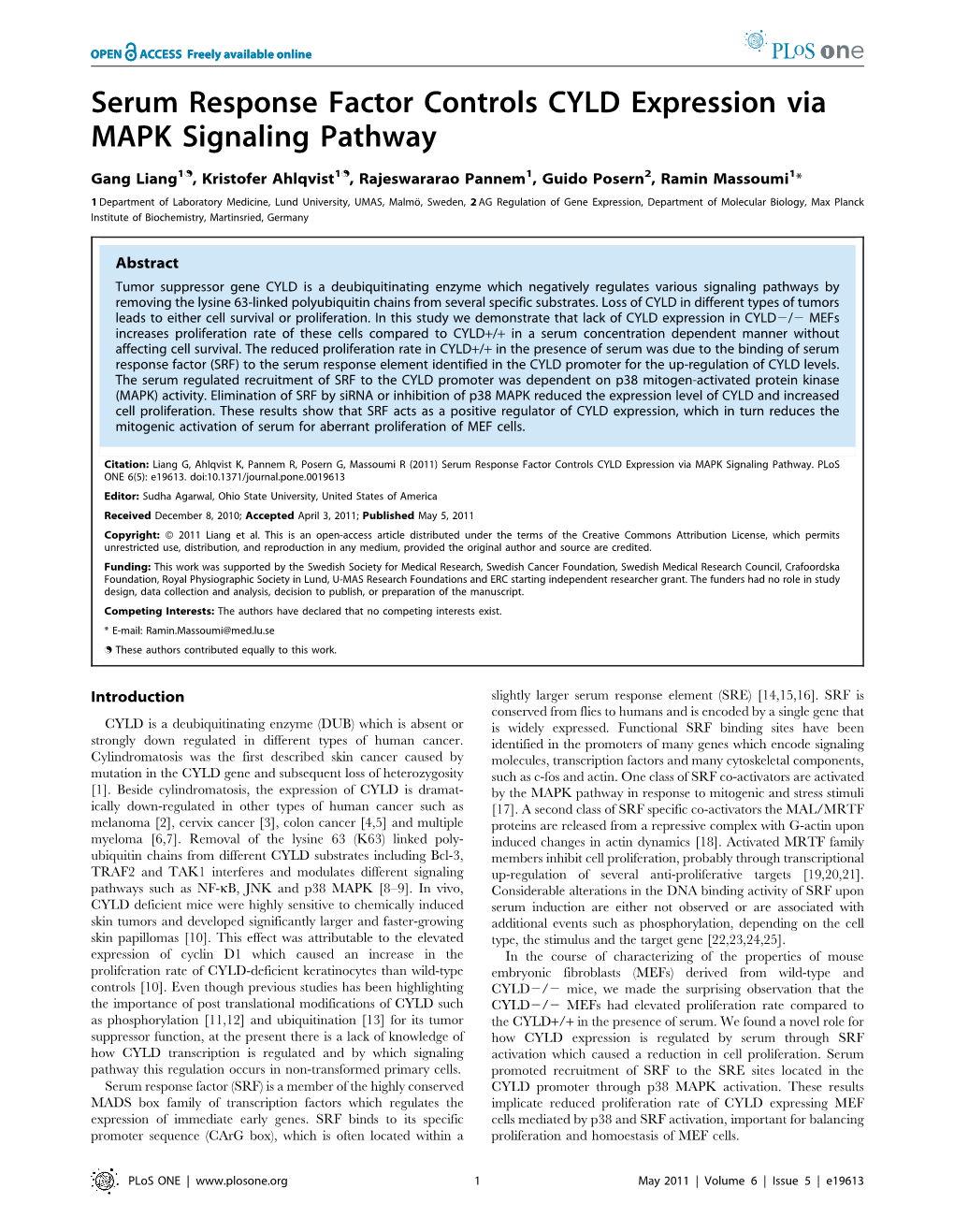 Serum Response Factor Controls CYLD Expression Via MAPK Signaling Pathway