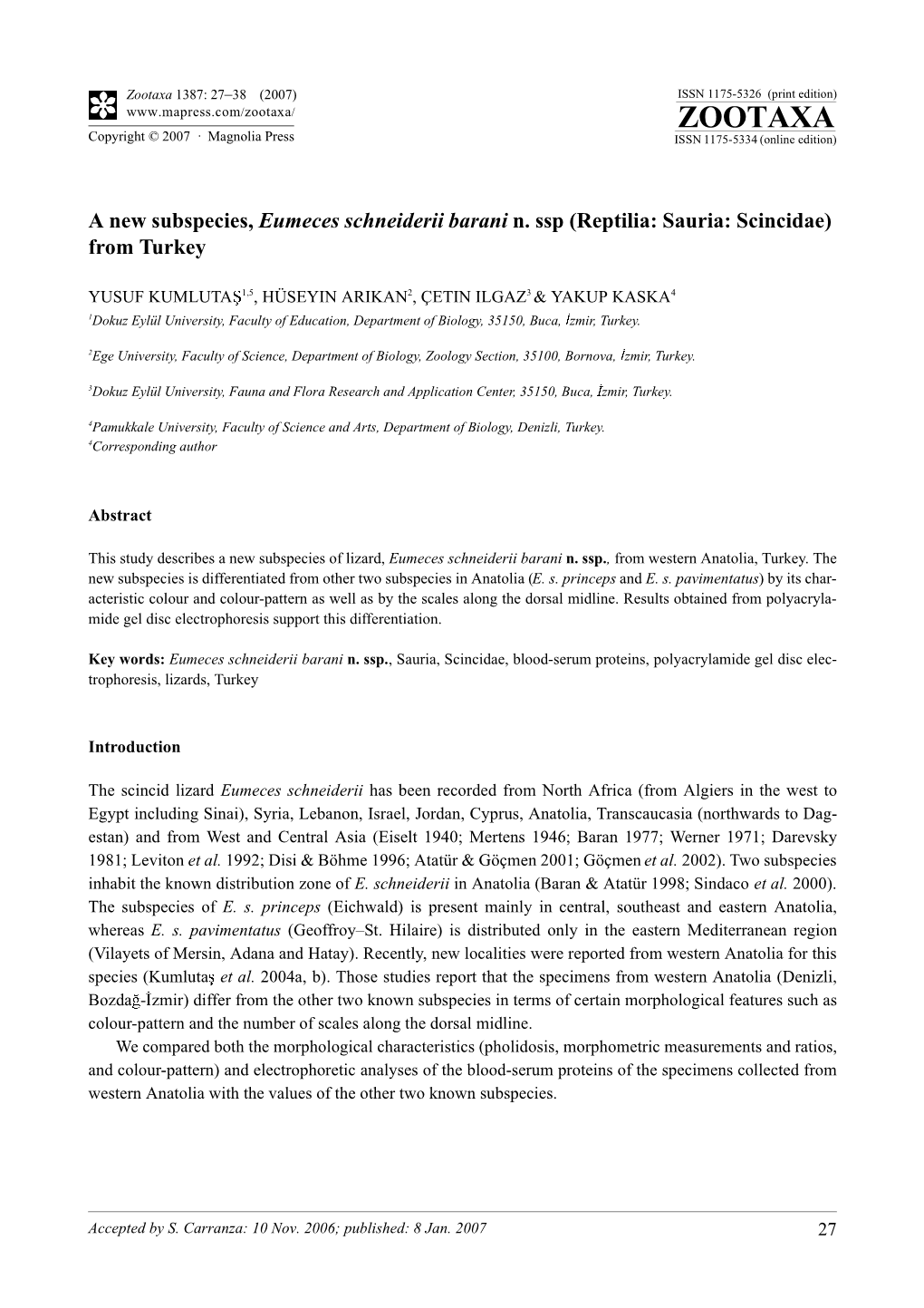 Zootaxa: a New Subspecies, Eumeces Schneiderii Barani N. Ssp (Reptilia: Sauria: Scincidae)