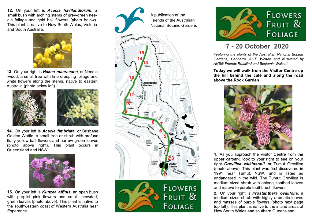 20 October 2020 Featuring the Plants of the Australian National Botanic Gardens, Canberra, ACT