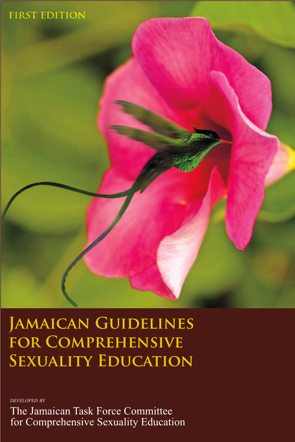 Jamaican Guidelines for Comprehensive Sexuality Education