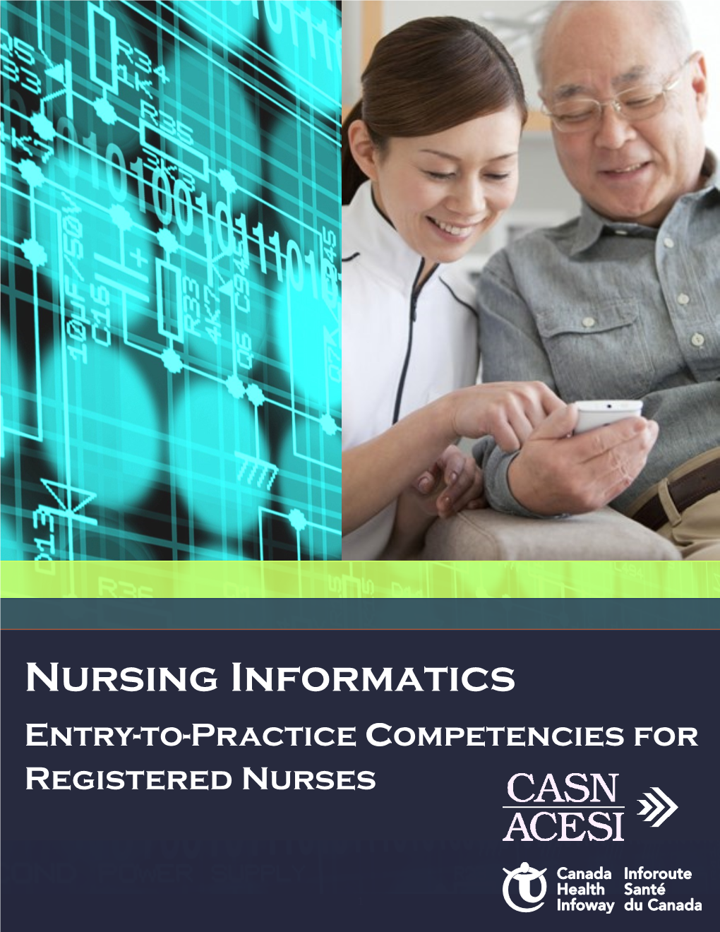 Nursing Informatics Entry-To-Practice Competencies for Registered Nurses