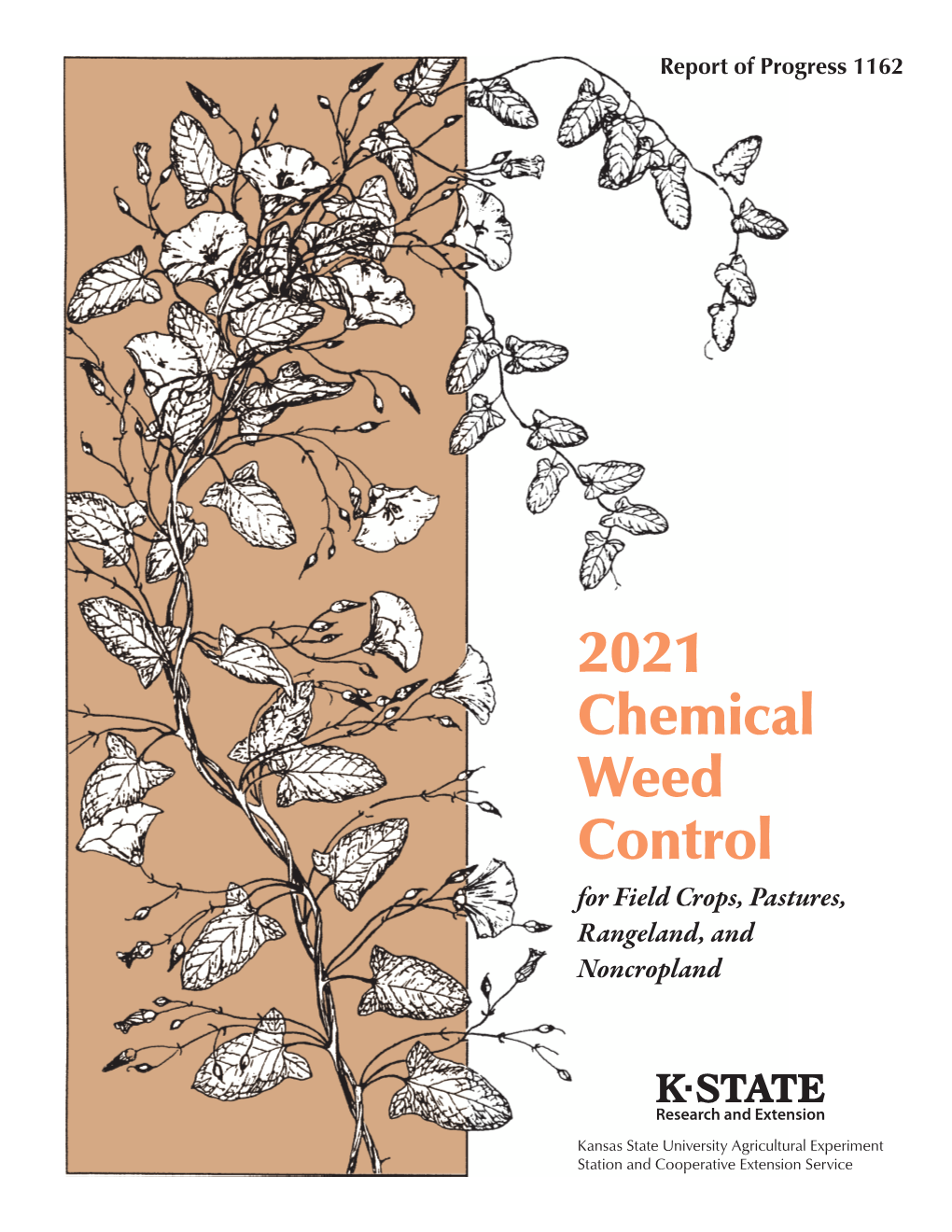 2021 Chemical Weed Control of Field