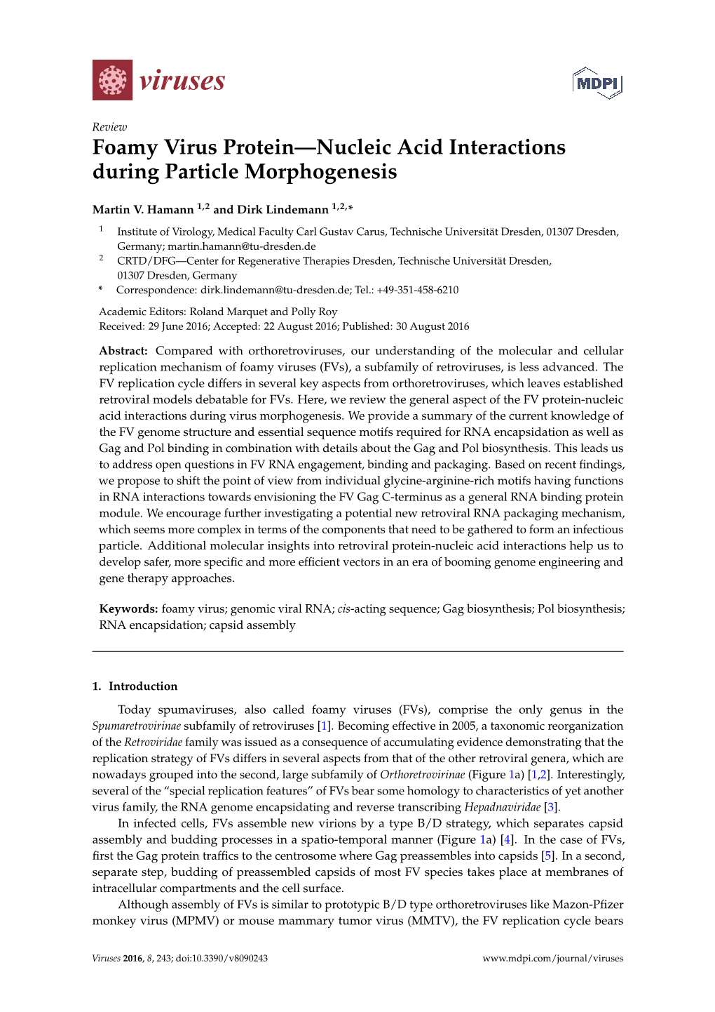 Foamy Virus Protein—Nucleic Acid Interactions During Particle Morphogenesis