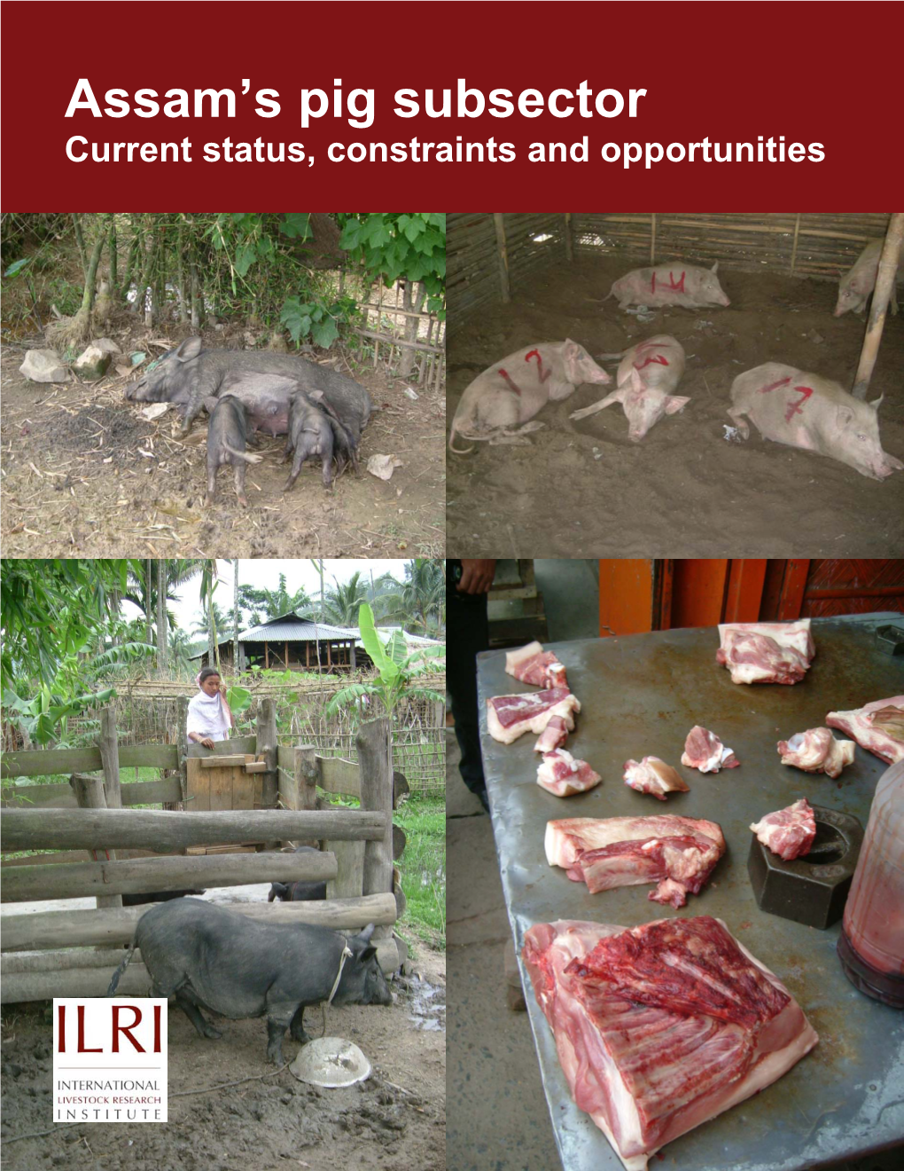 Assam's Pig Subsector