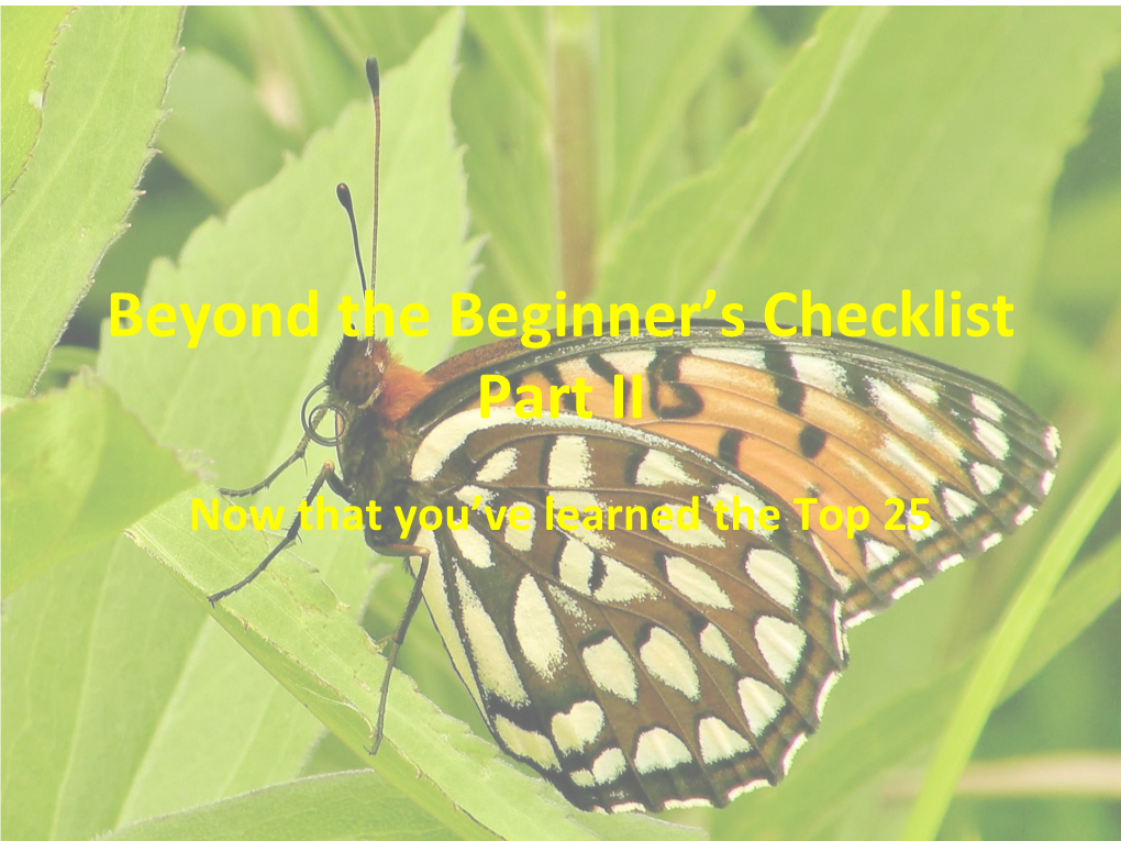 Beyond the Beginner's Checklist Part II