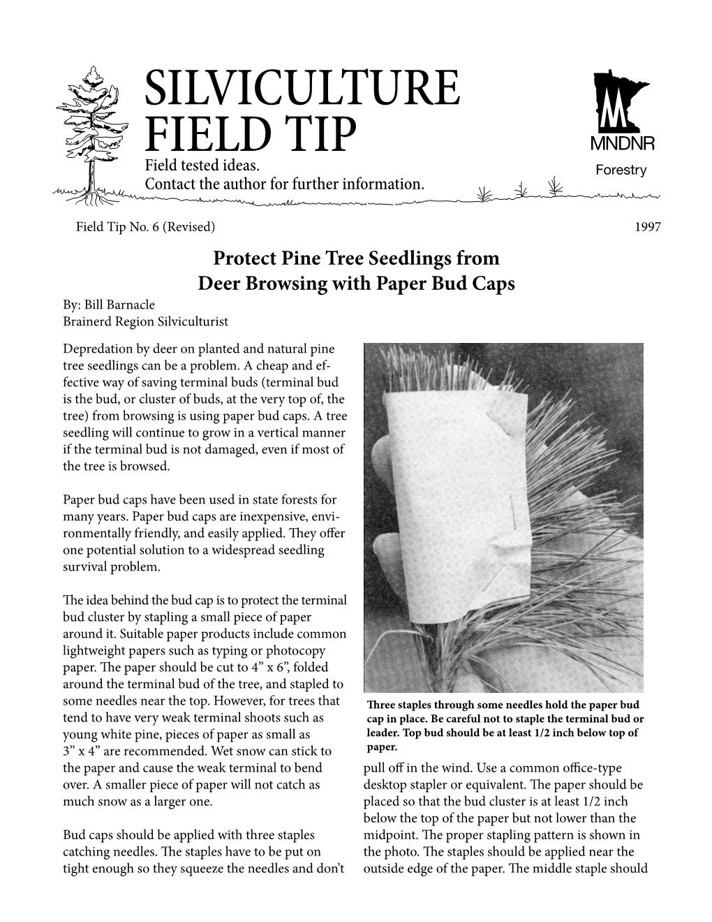 Silviculture Field Tip Sheet #6- Protect Pine Seedlings from Deer Browsing