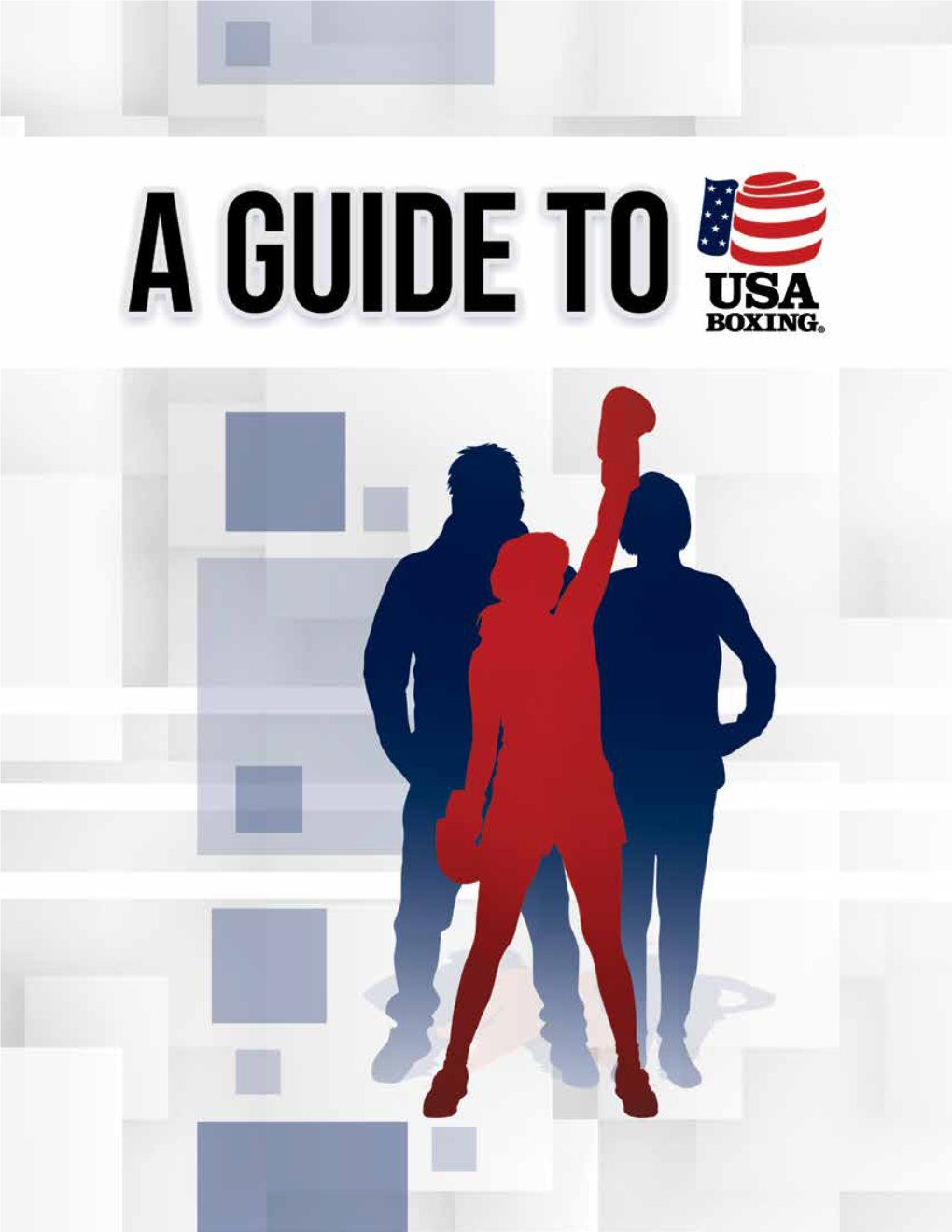 USA Boxing Guide