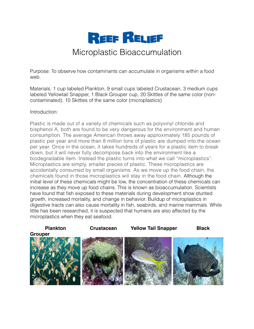 Coral Reef Biomagnification Activity