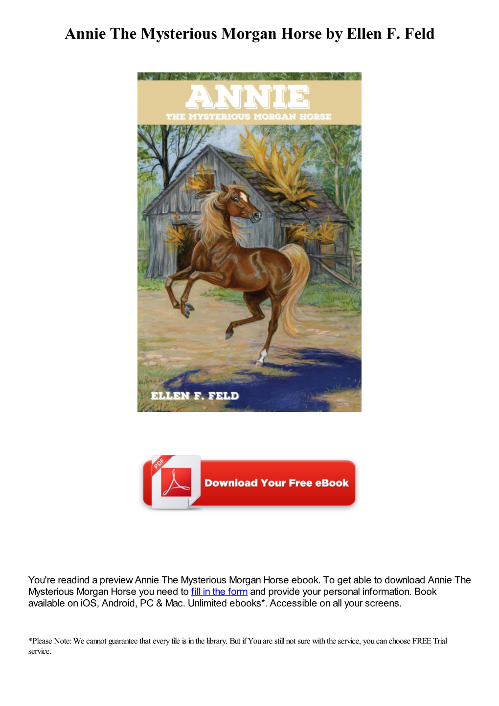 Annie the Mysterious Morgan Horse by Ellen F. Feld