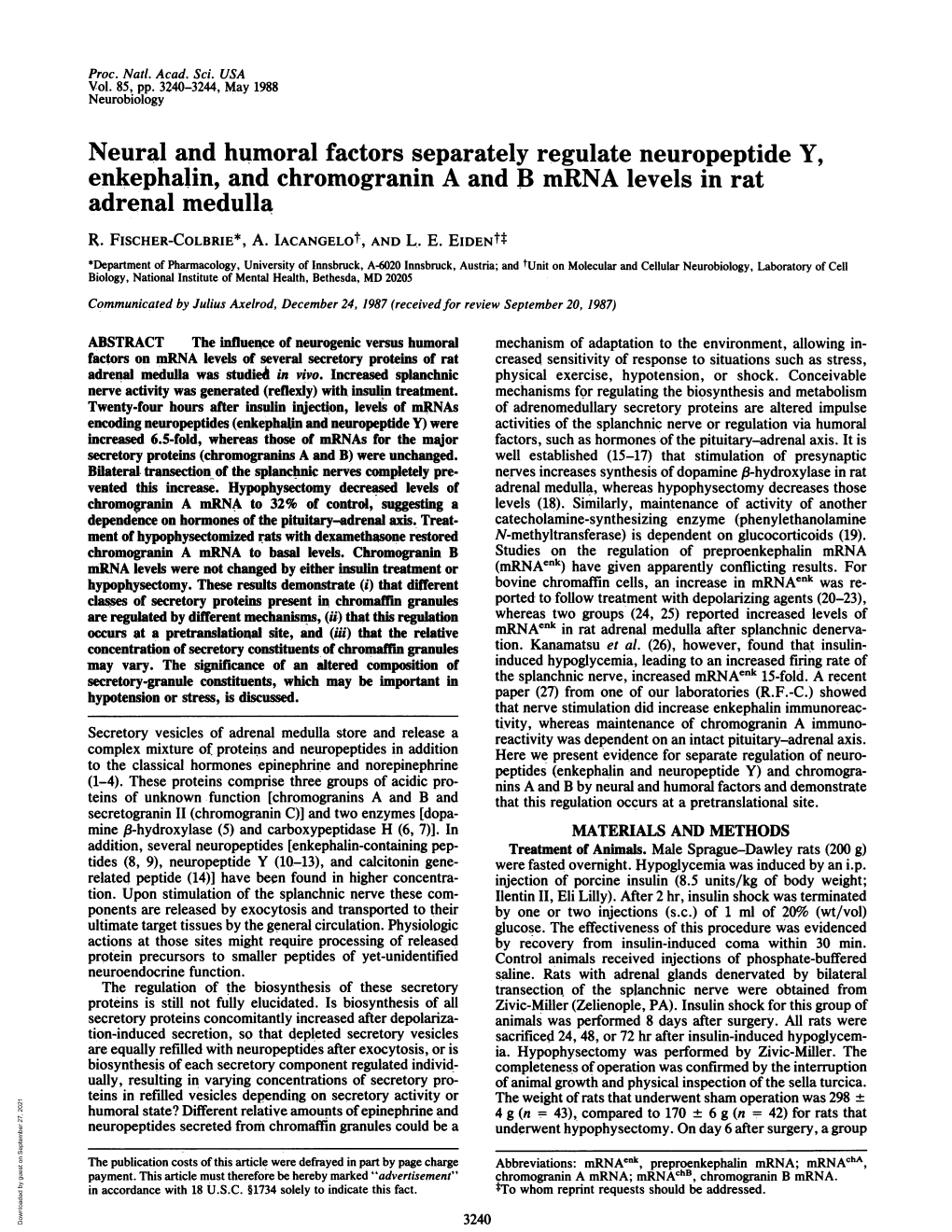 Adrenal Medulla R