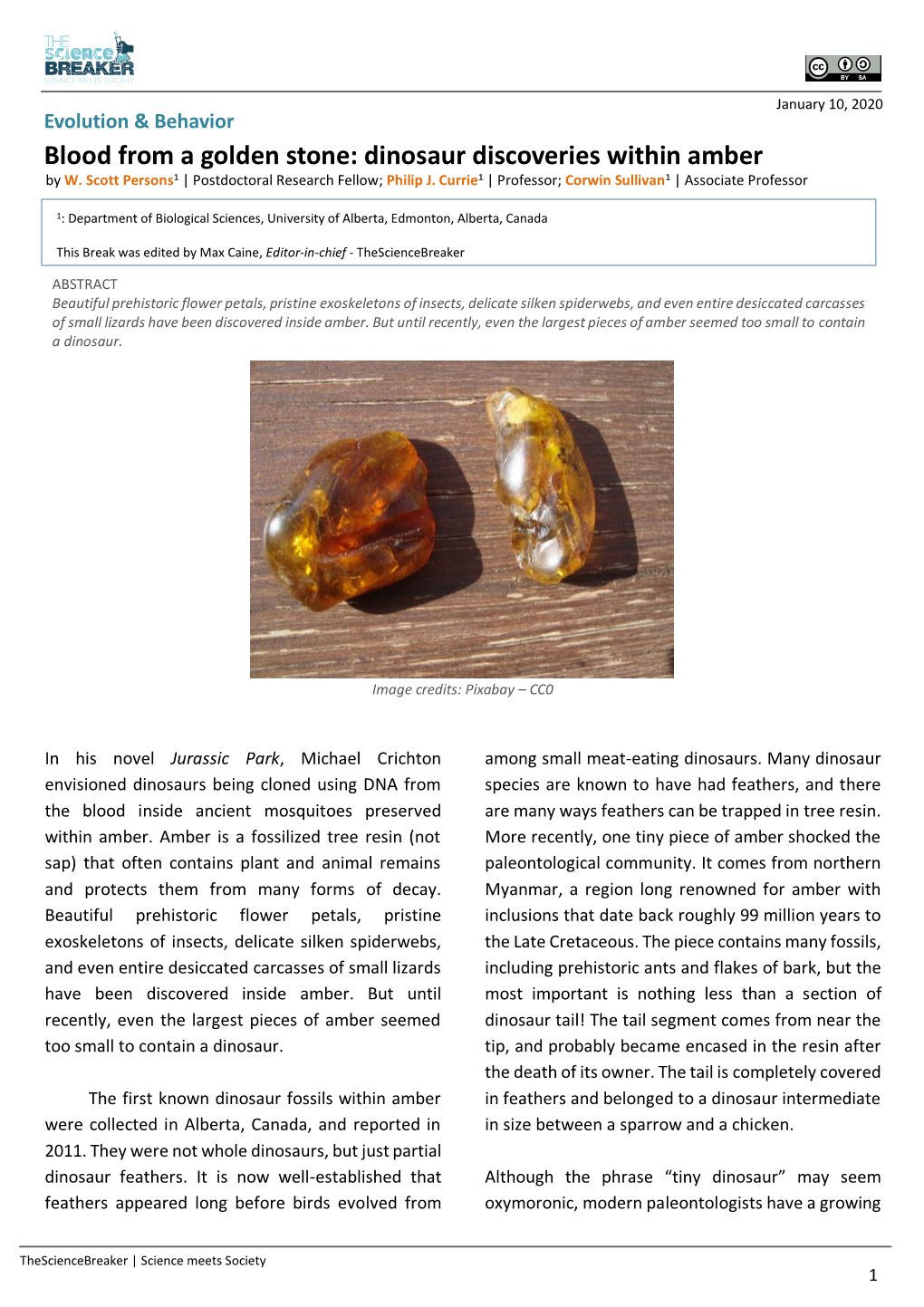 Blood from a Golden Stone: Dinosaur Discoveries Within Amber by W