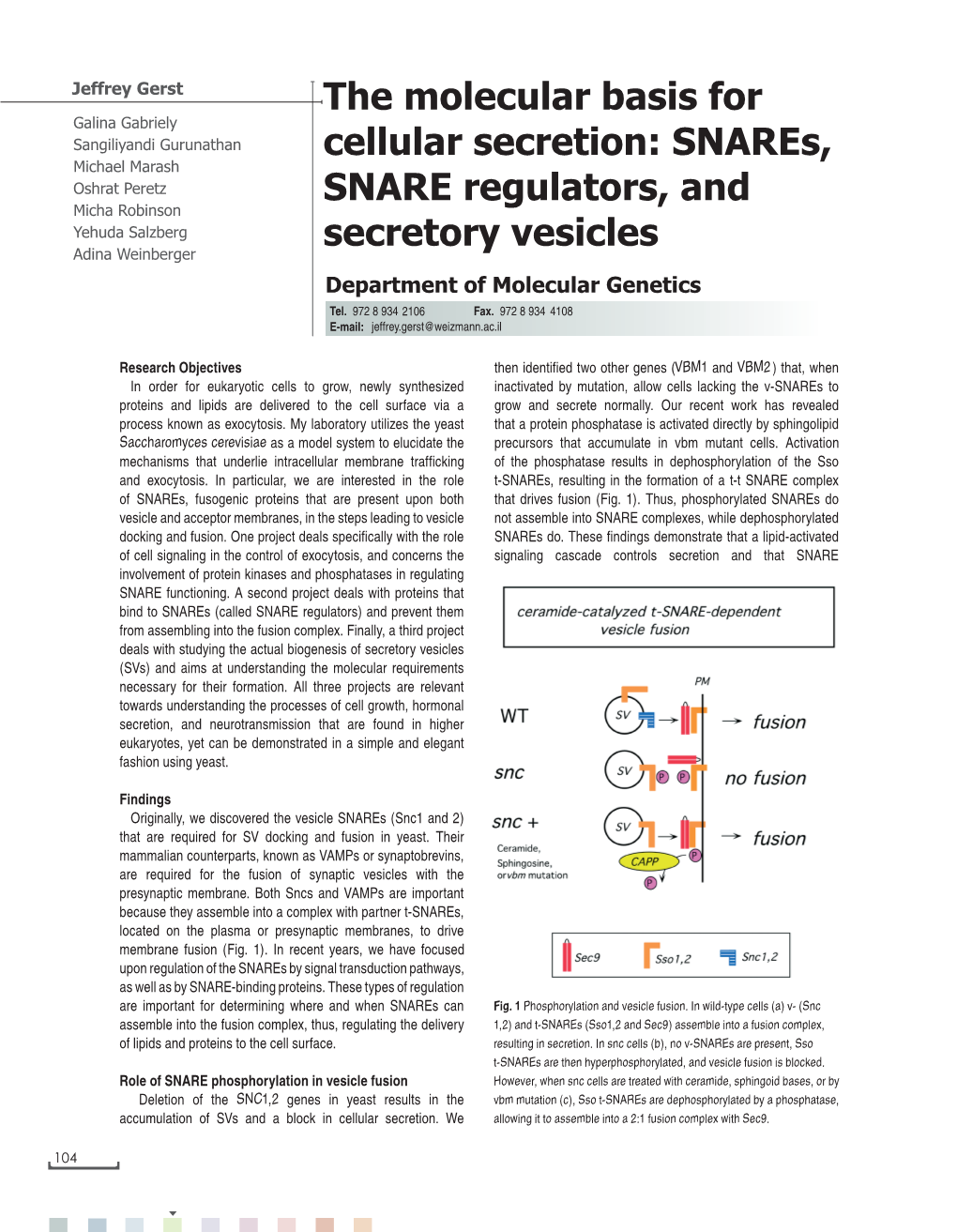 The Molecular Basis for Cellular Secretion