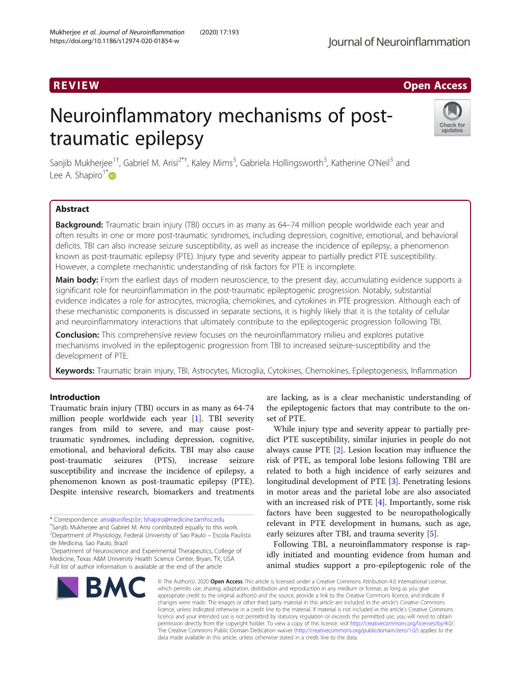 Neuroinflammatory Mechanisms of Post-Traumatic Epilepsy