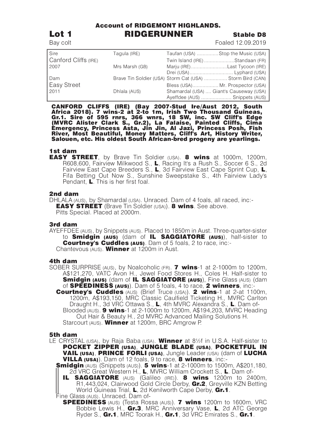 Lot 1 RIDGERUNNER Stable D8 Lot 2 UNNAMED Stable A20 Bay Colt Foaled 12.09.2019 Bay Colt Foaled 06.09.2019