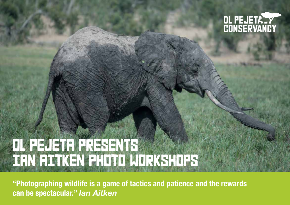 OL PEJETA Presents IAN AITKEN Photo WORKSHOPS