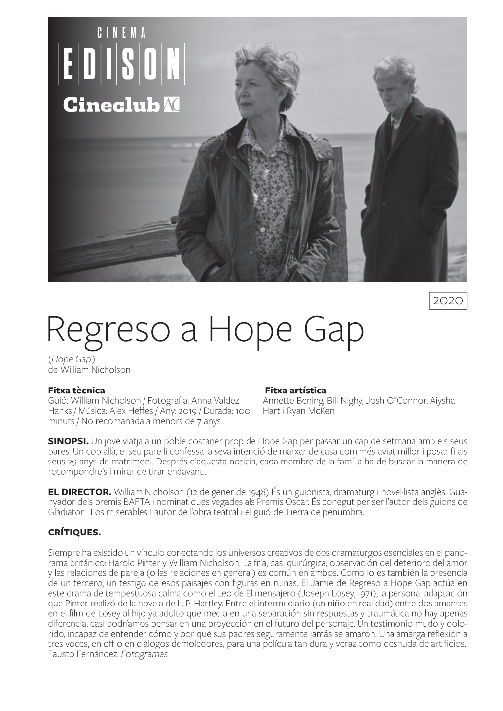 Regreso a Hope Gap (Hope Gap) De William Nicholson
