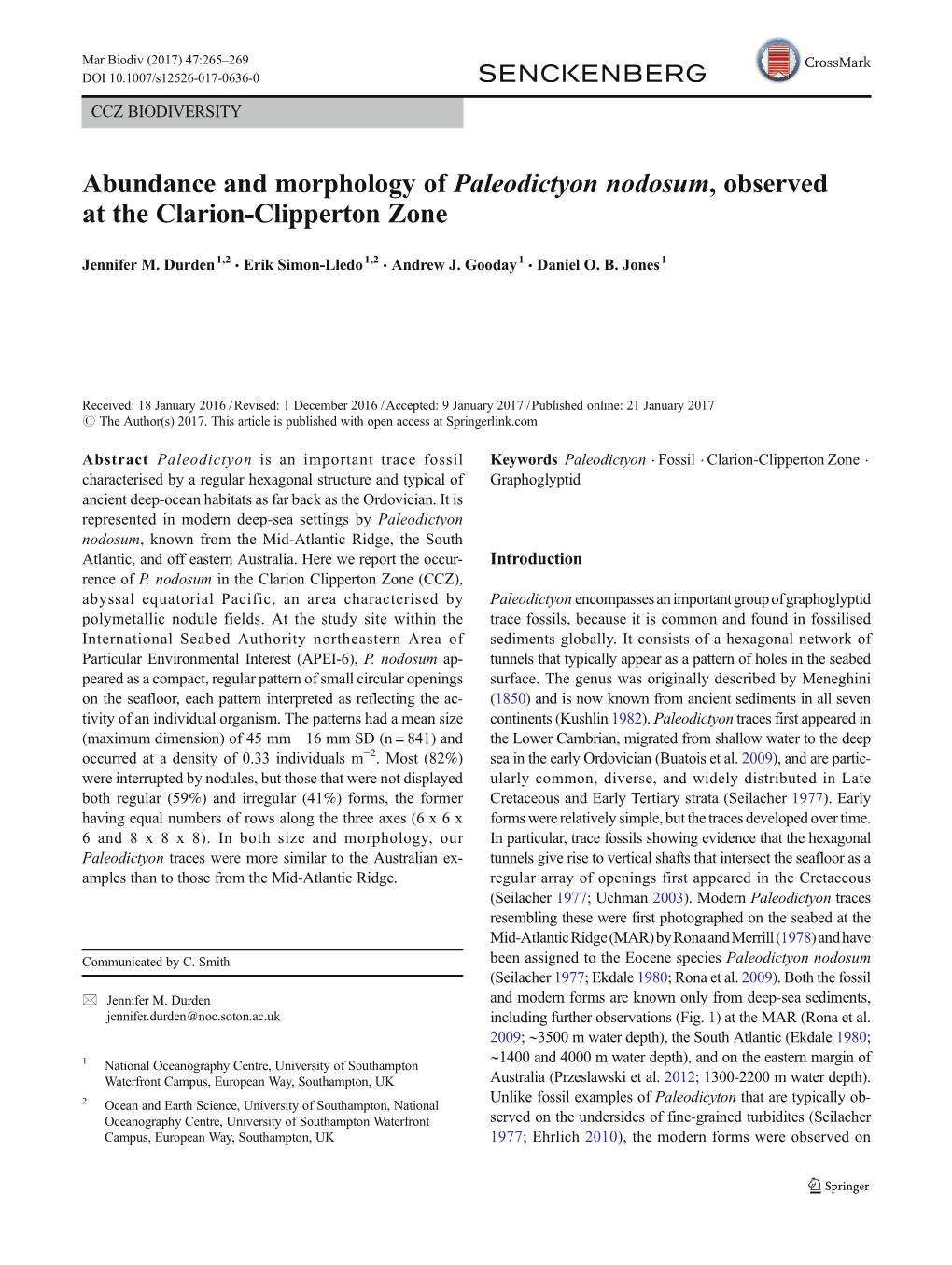 Abundance and Morphology of Paleodictyon Nodosum, Observed at the Clarion-Clipperton Zone