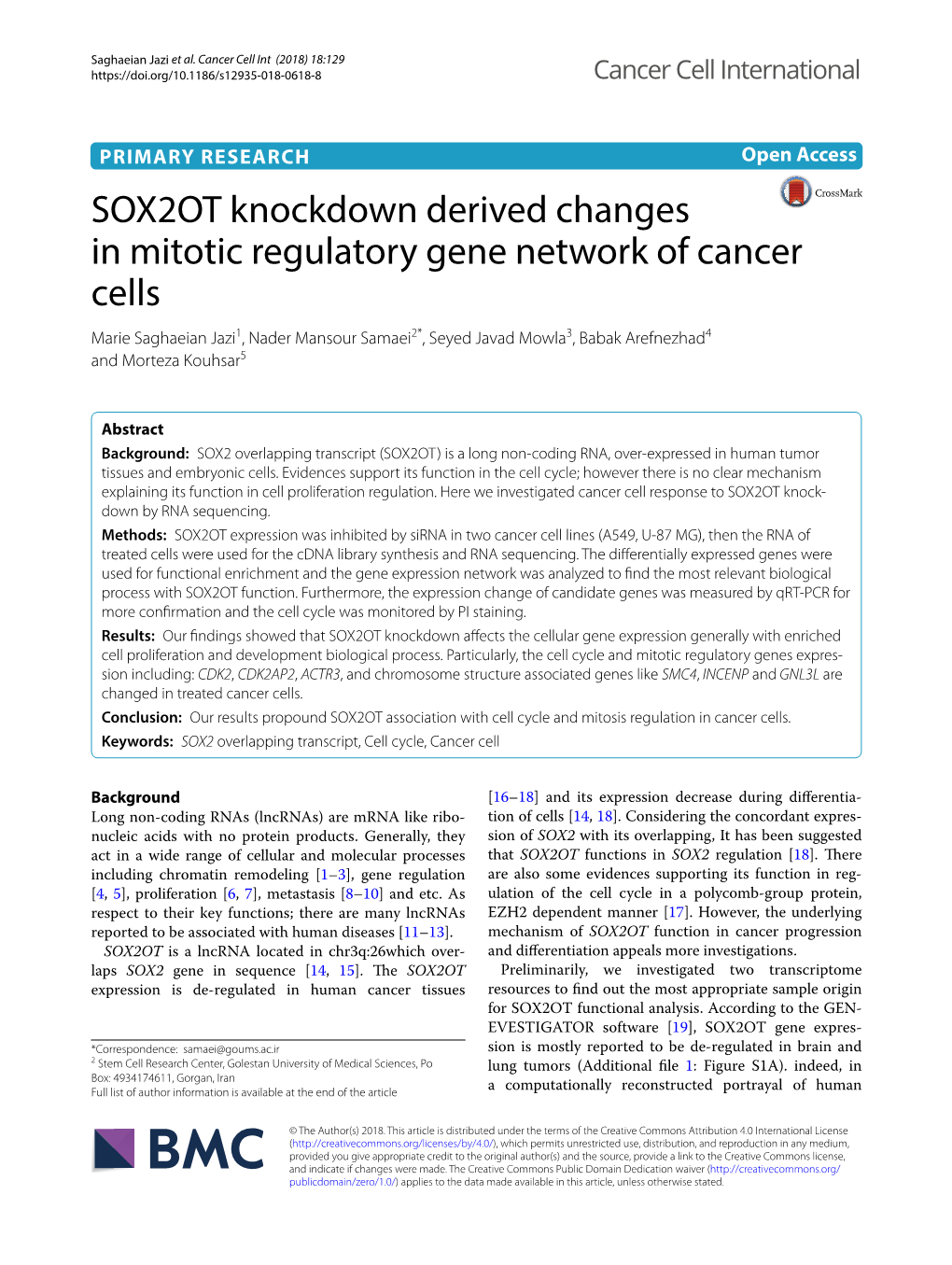 SOX2OT Knockdown Derived Changes in Mitotic Regulatory Gene Network