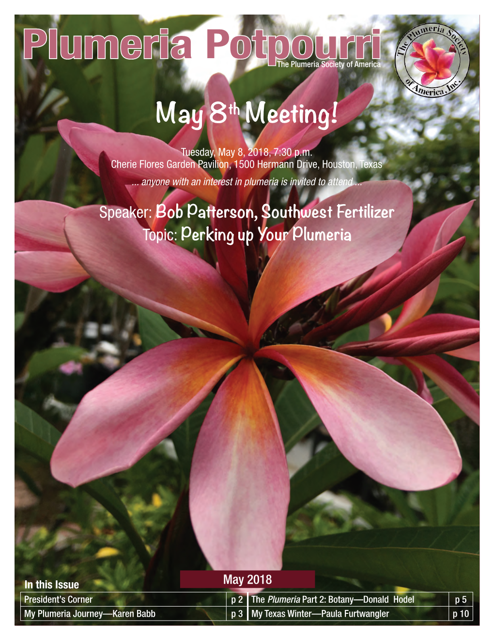 Perking up Your Plumeria