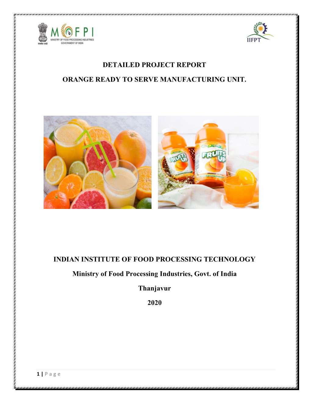 Detailed Project Report Orange Ready to Serve