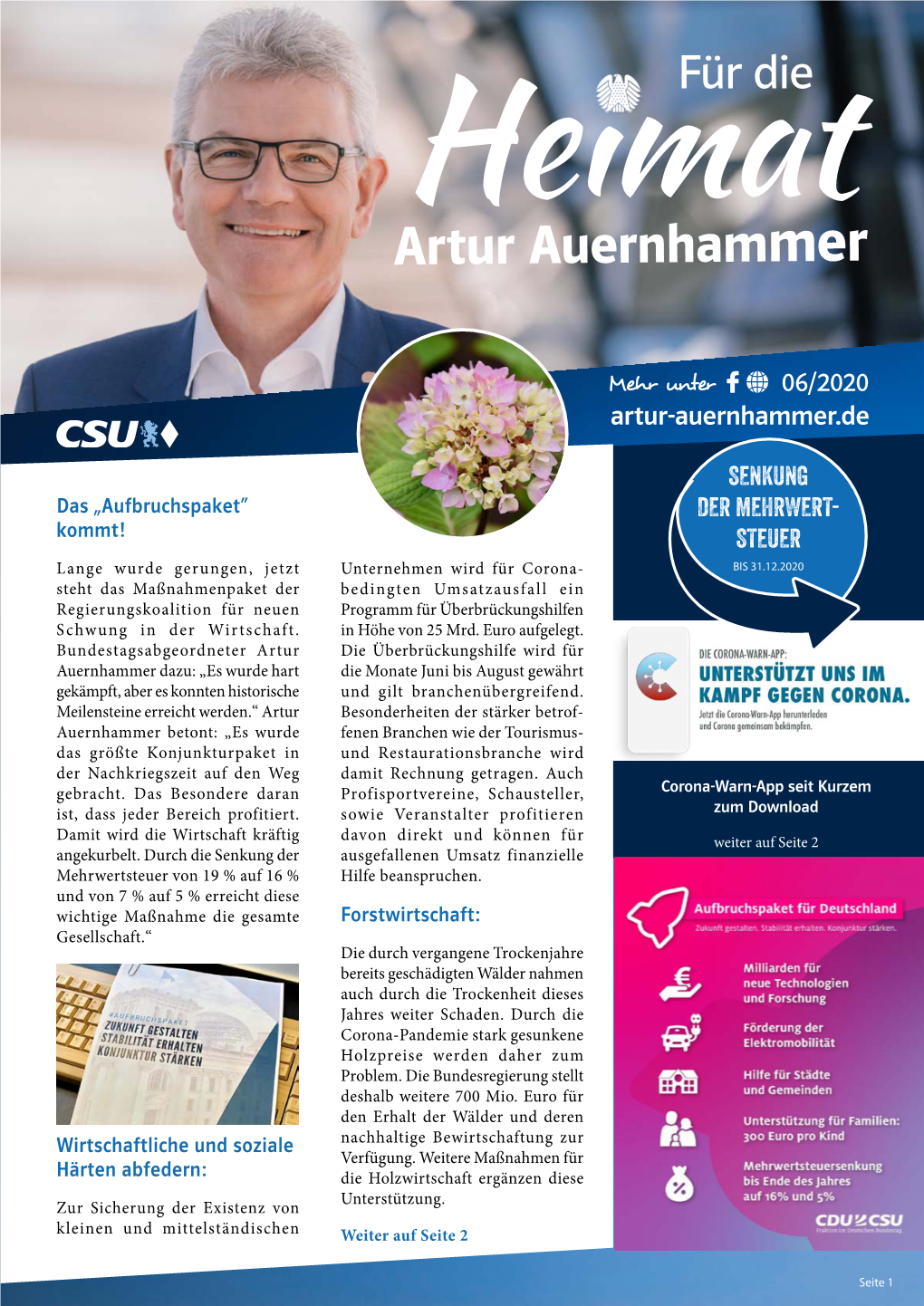 Newsletter Als PDF Laden