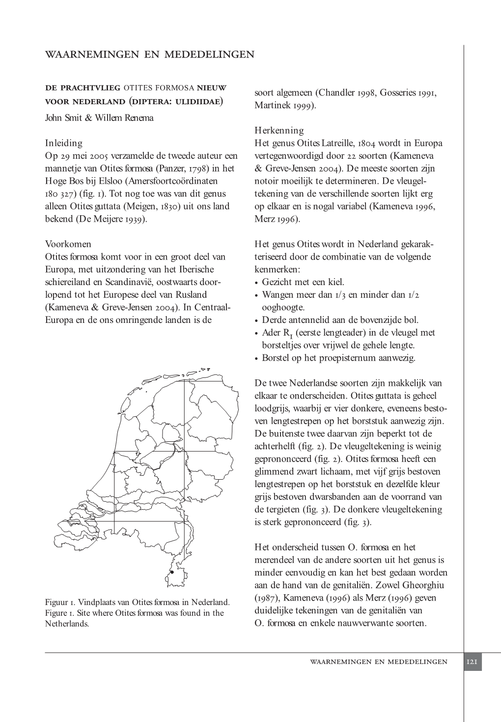 Waarnemingen En Mededelingen De Prachtvlieg Nieuw OTITES FORMOSA 1998 1991 Voor Nederland Diptera: Ulidiidae Soort Algemeen (Chandler , Gosseries , ( ) Martinek 1999)