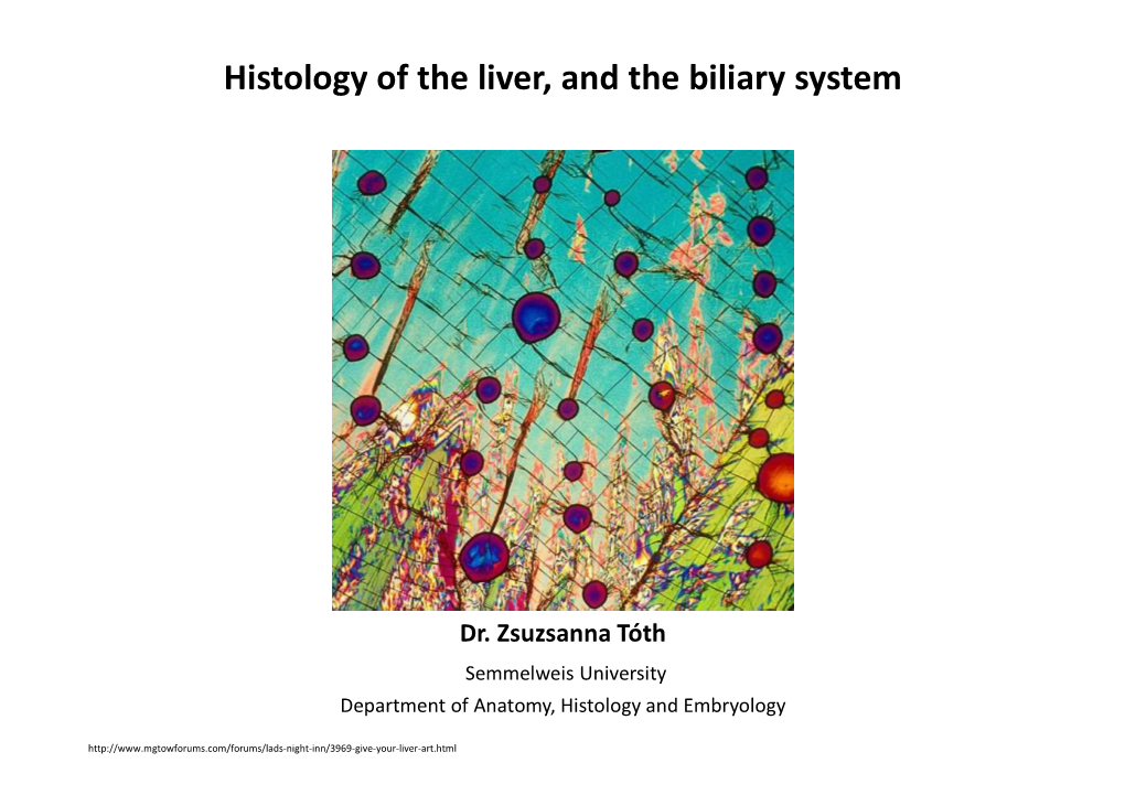 Histology of the Liver, and the Biliary System