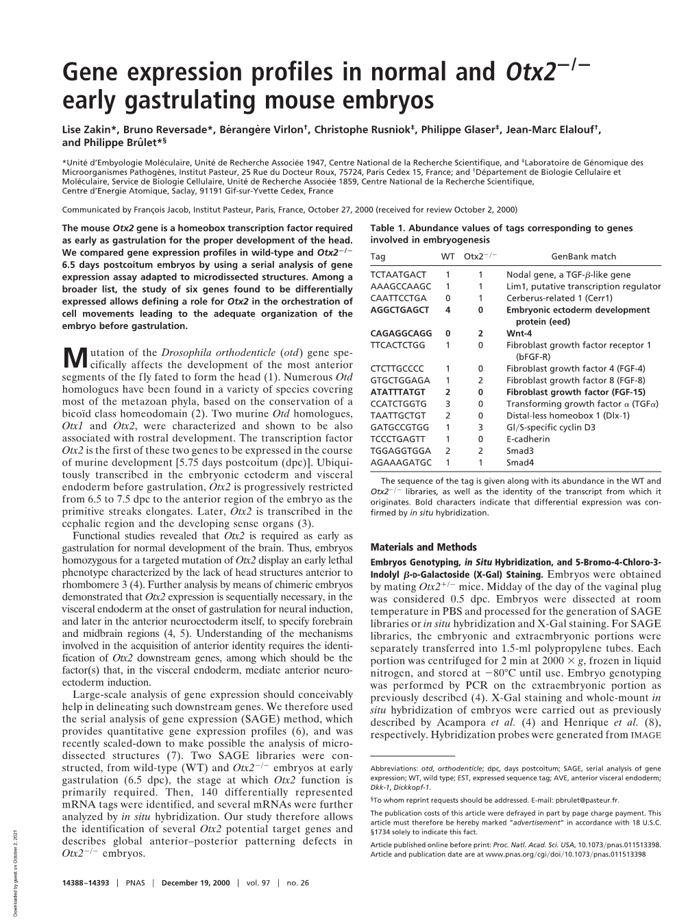 Gene Expression Profiles in Normal and Otx2 Early Gastrulating Mouse