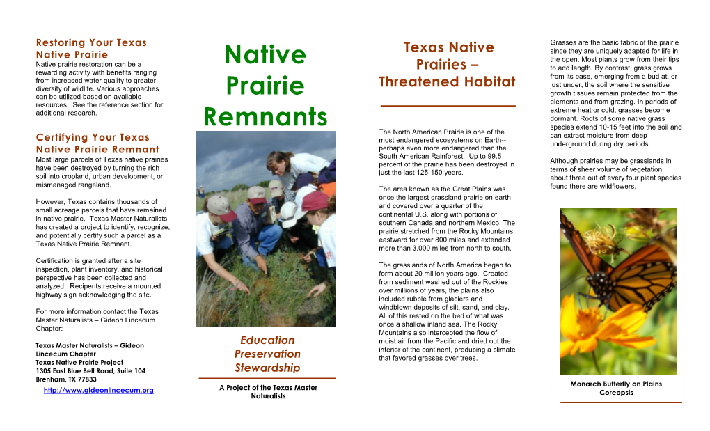 Restoring Your Texas Native Prairie