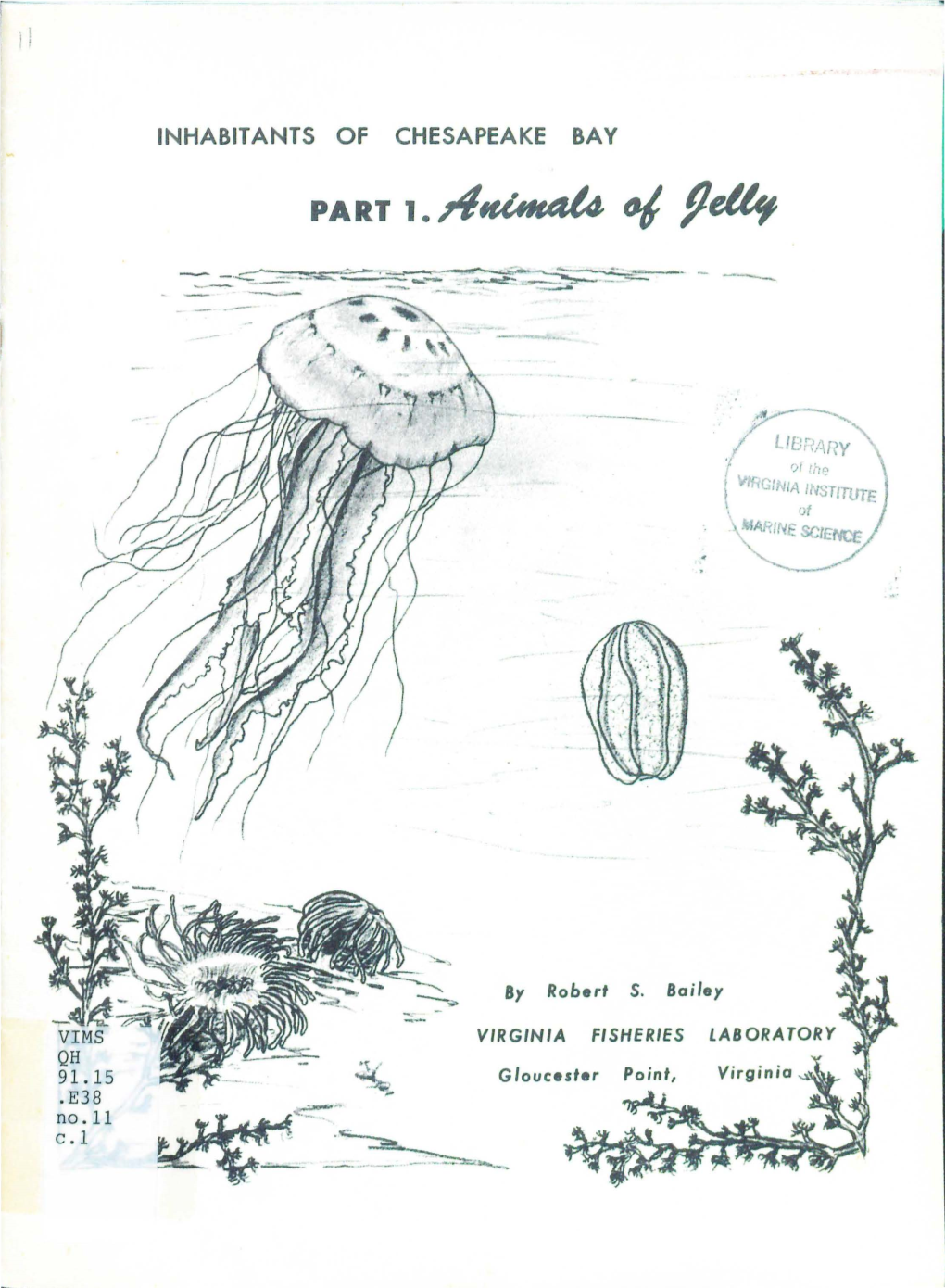 Inhabitants of Chesapeake Bay Part