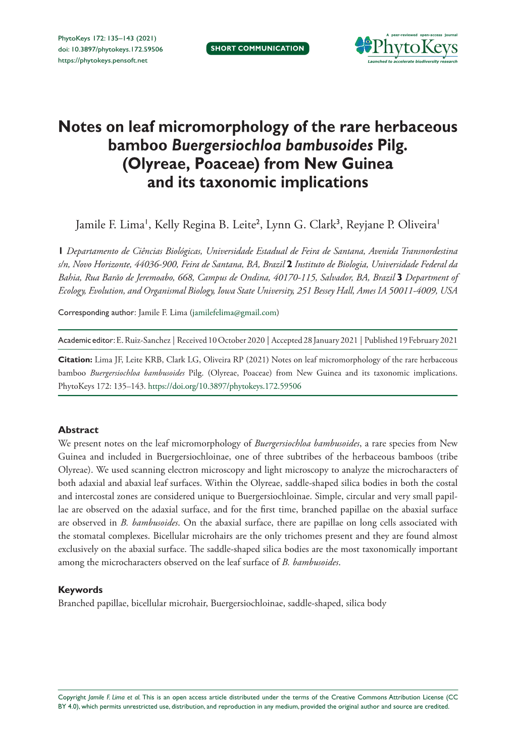 ﻿Notes on Leaf Micromorphology of the Rare Herbaceous Bamboo