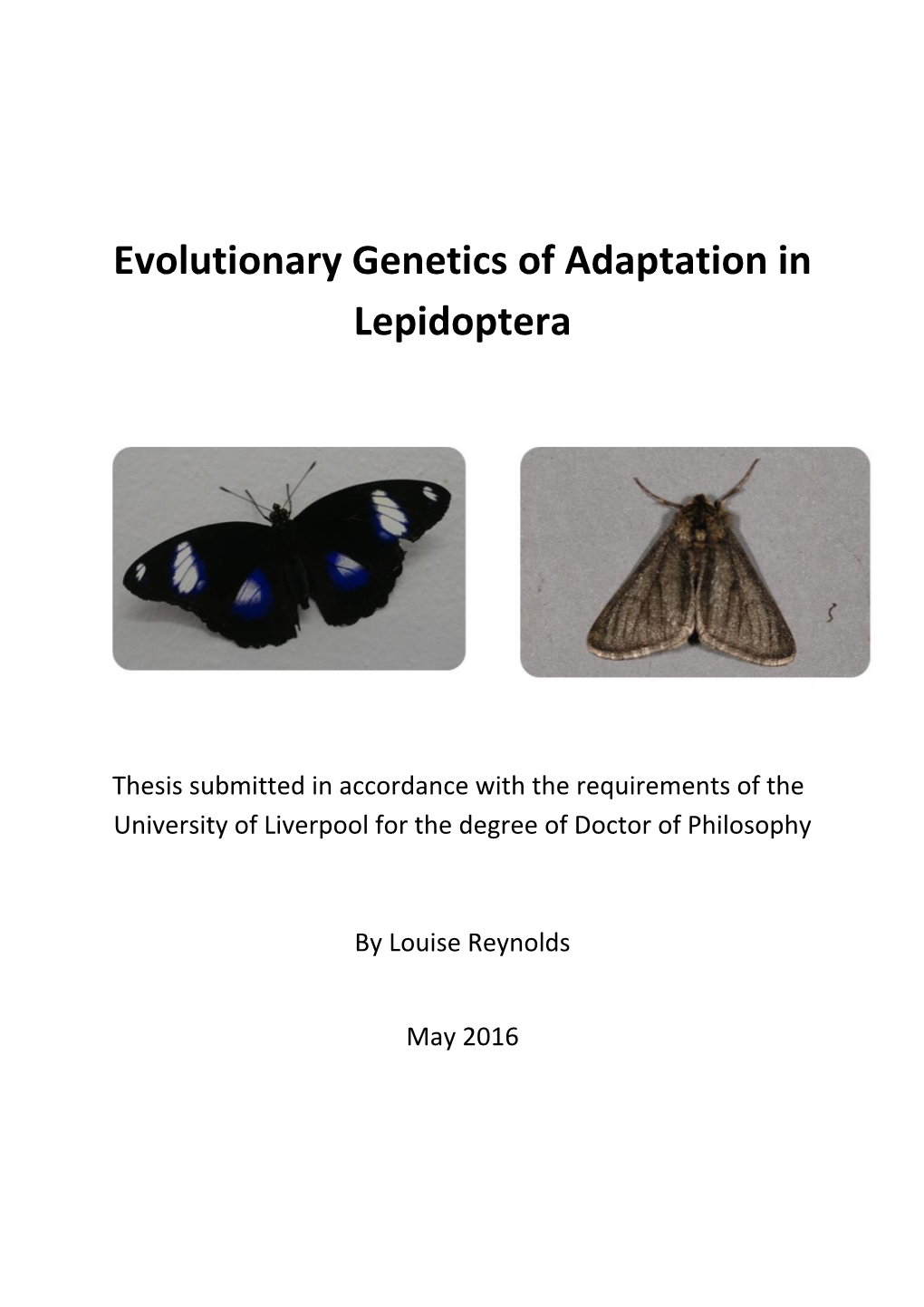 Evolutionary Genetics of Adaptation in Lepidoptera