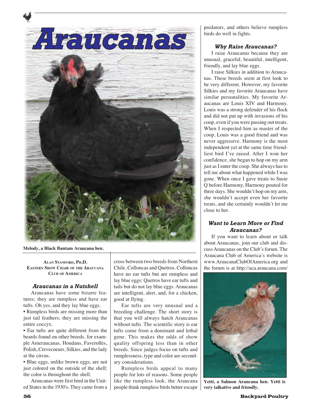 Backyard Poultry Araucana/Ameraucana Article