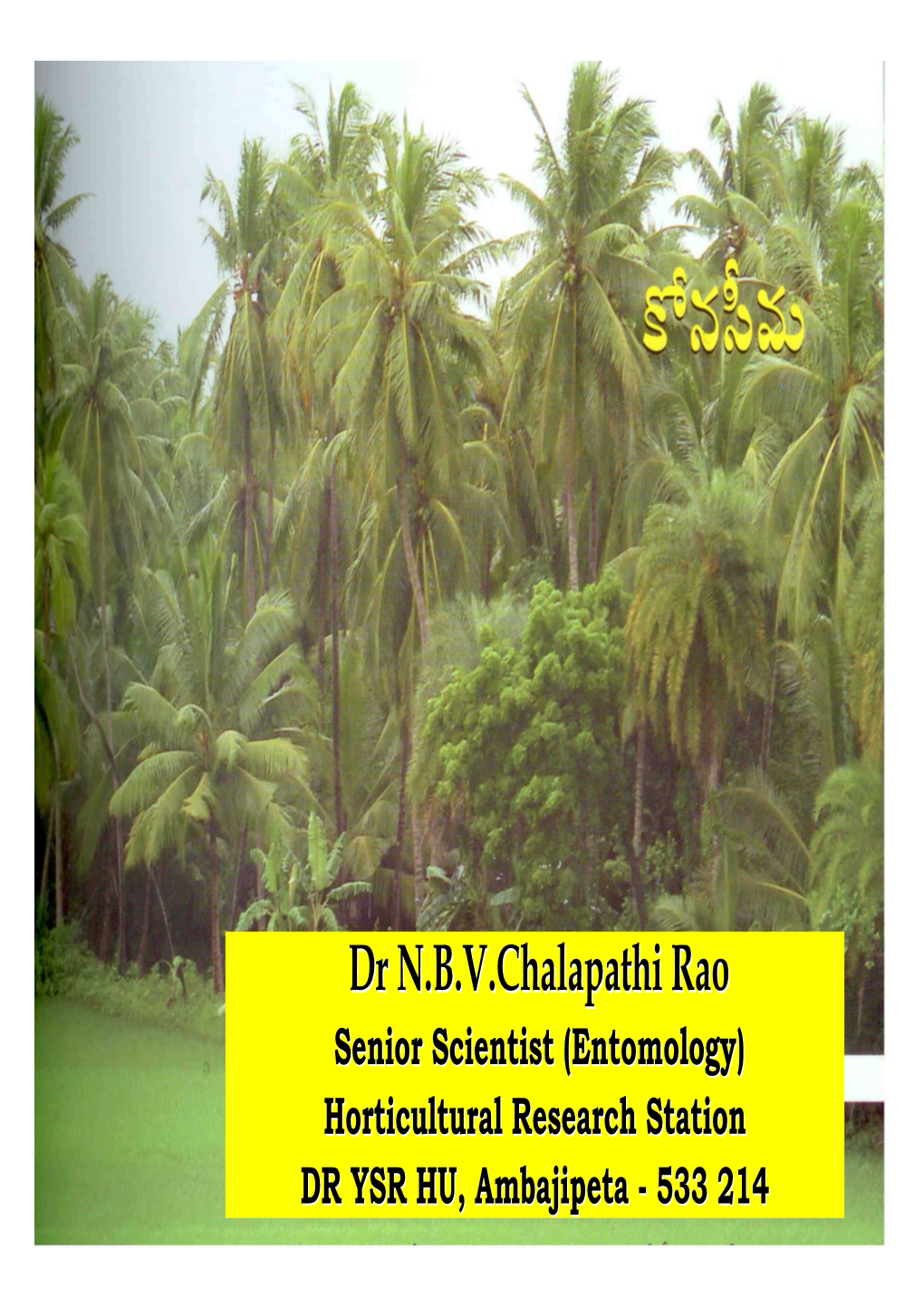 Dr N.B.V.Chalapathin.B.V.Chalapathi Raorao Senior Scientist (Entomology) Horticultural Research Station DR YSR HU, Ambajipeta - 533 214 Major Pests of Coconut
