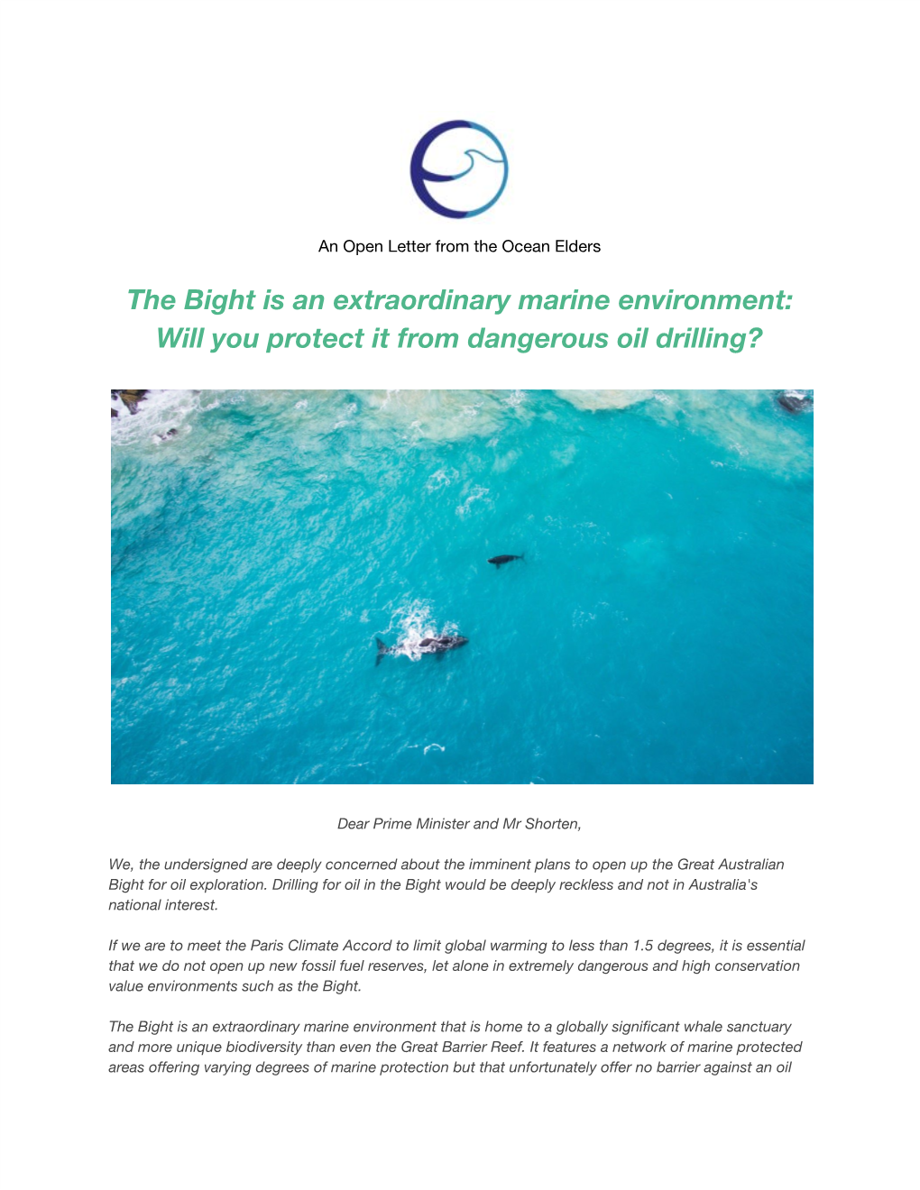 The Bight Is an Extraordinary Marine Environment: Will You Protect It from Dangerous Oil Drilling?