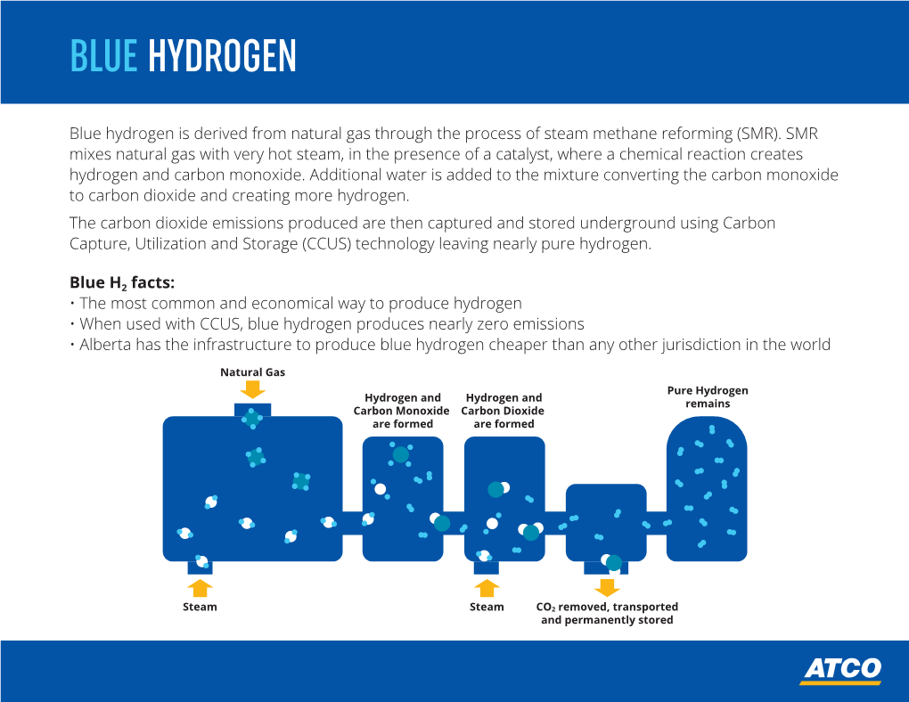 Blue Hydrogen