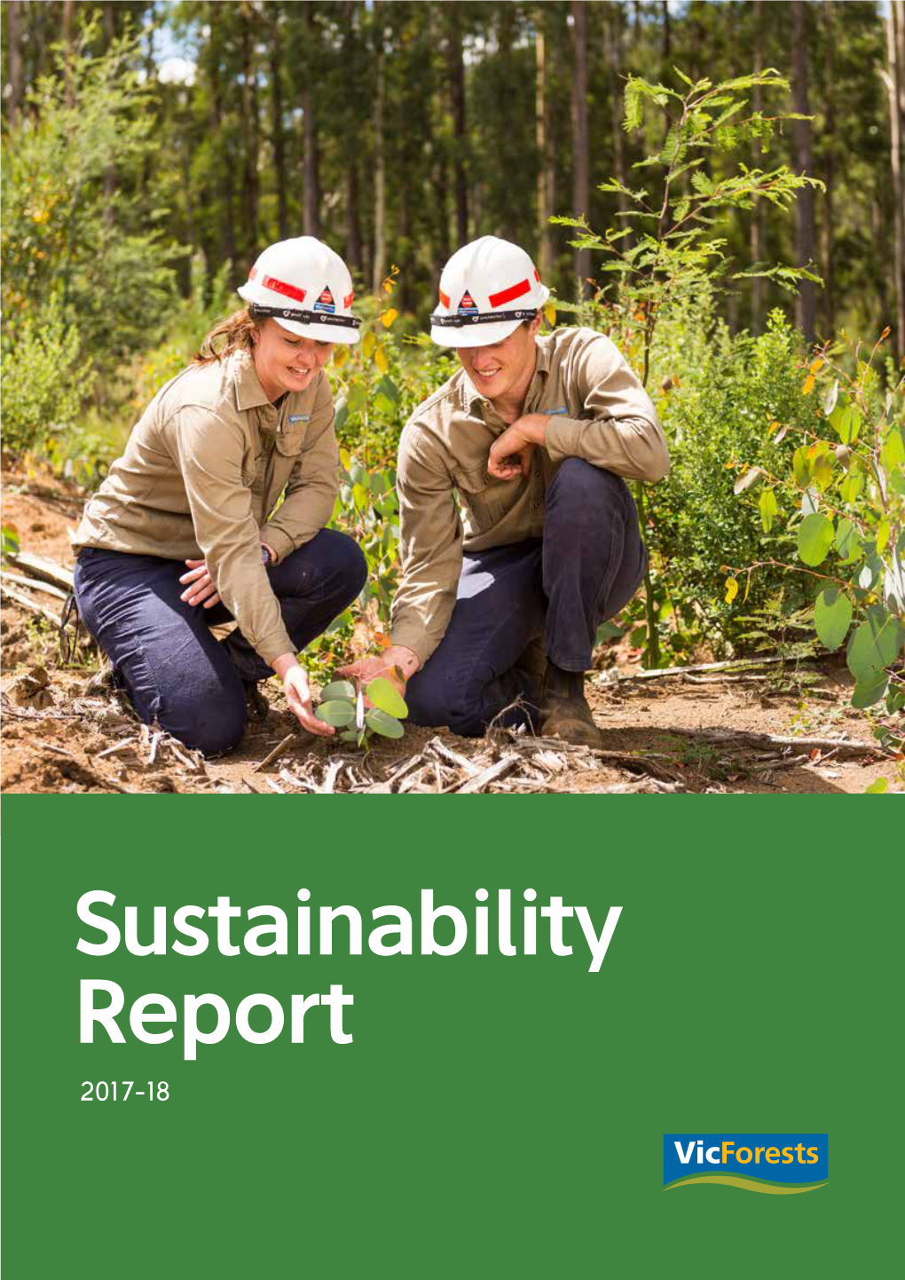 Vicforests Sustainability Report 2017-18 3