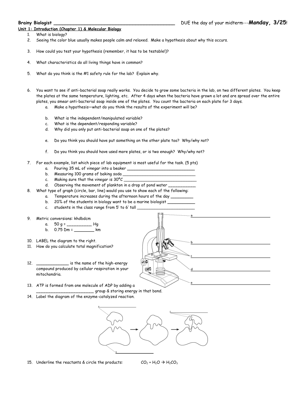 CP Biology Unit 2 Study Guide