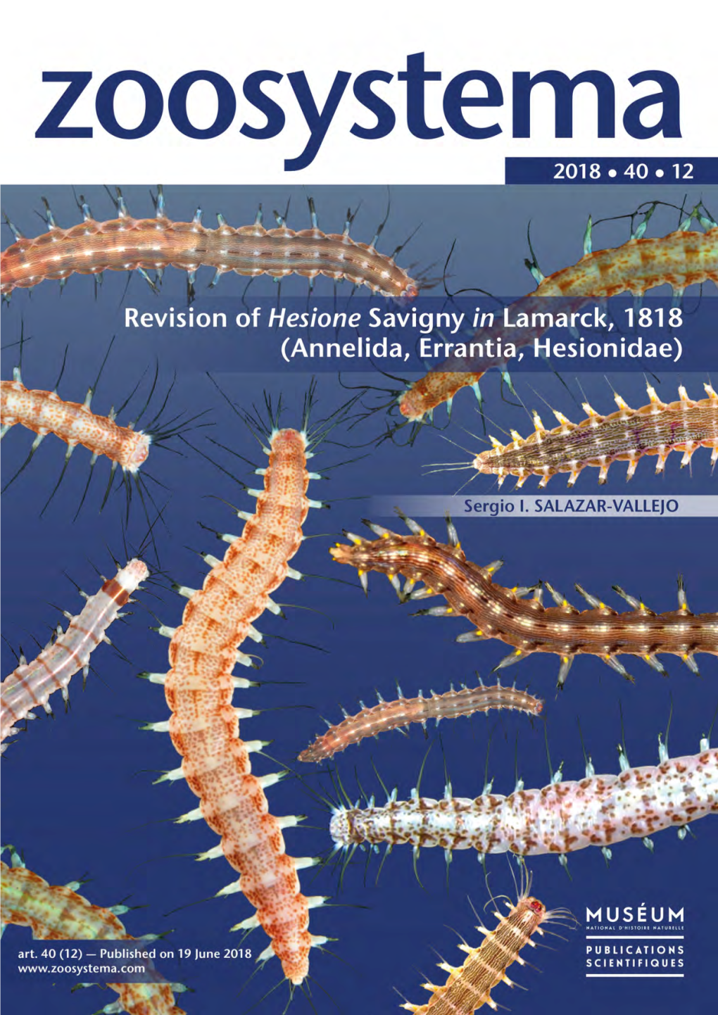 Revision of Hesione Savigny in Lamarck, 1818 (Annelida, Errantia, Hesionidae)