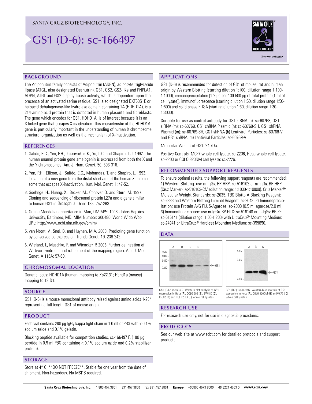 Datasheet Blank Template