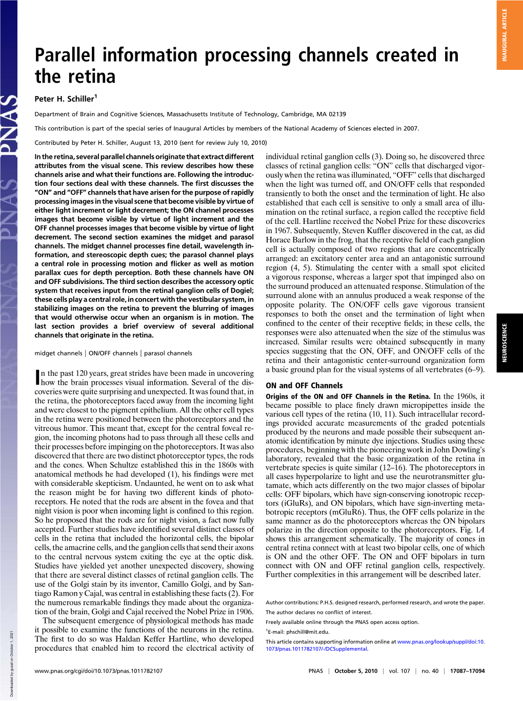 Parallel Information Processing Channels Created in the Retina