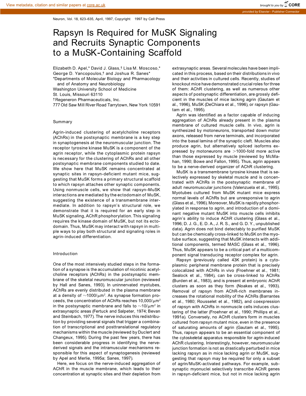 Rapsyn Is Required for Musk Signaling and Recruits Synaptic Components to a Musk-Containing Scaffold