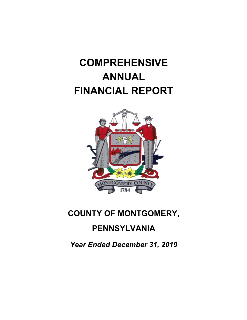 County's 2019 Comprehensive Annual Financial Report