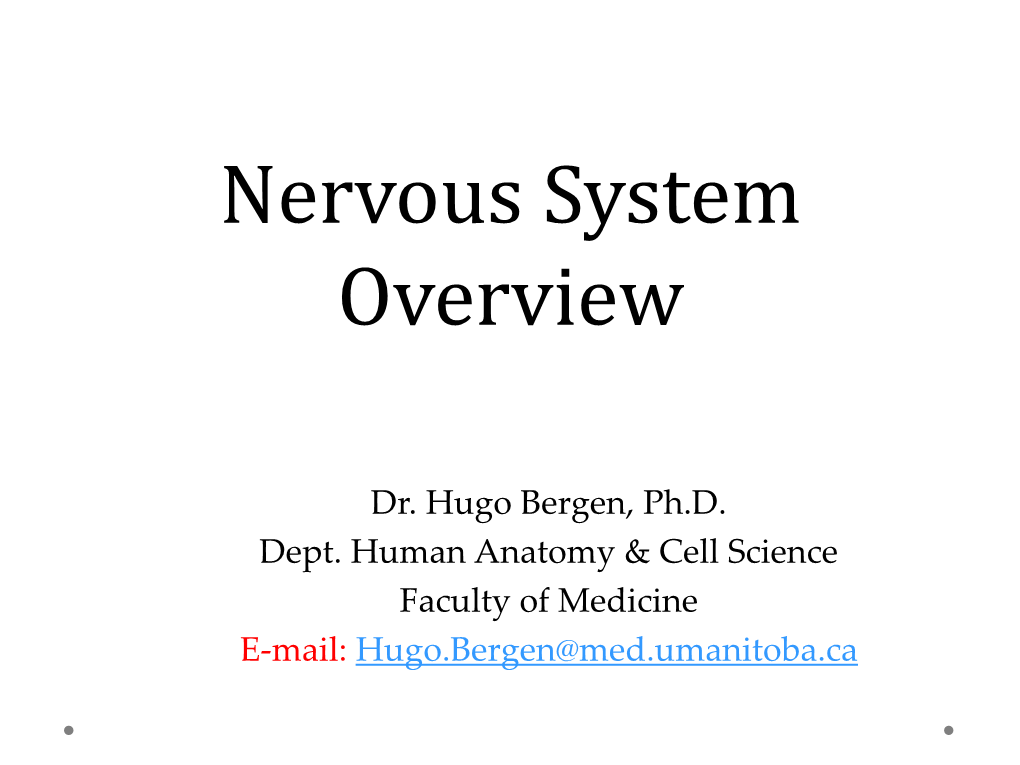 Nervous System Overview