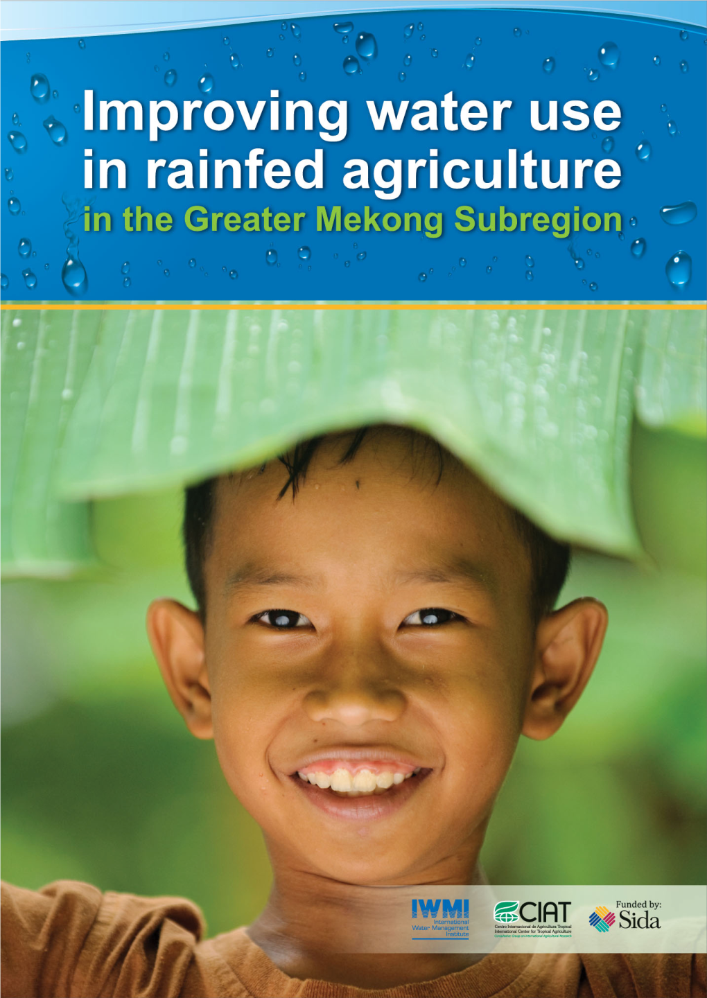 Improving Water Use in Rainfed Agriculture in the Greater Mekong Subregion