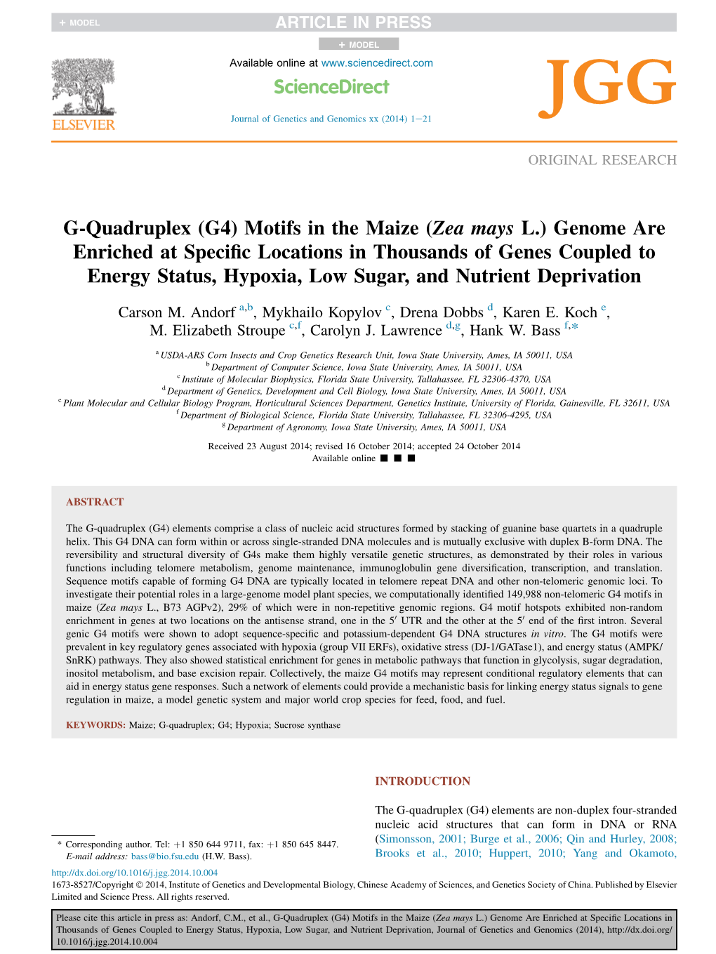 G-Quadruplex (G4) Motifs in the Maize (Zea Mays