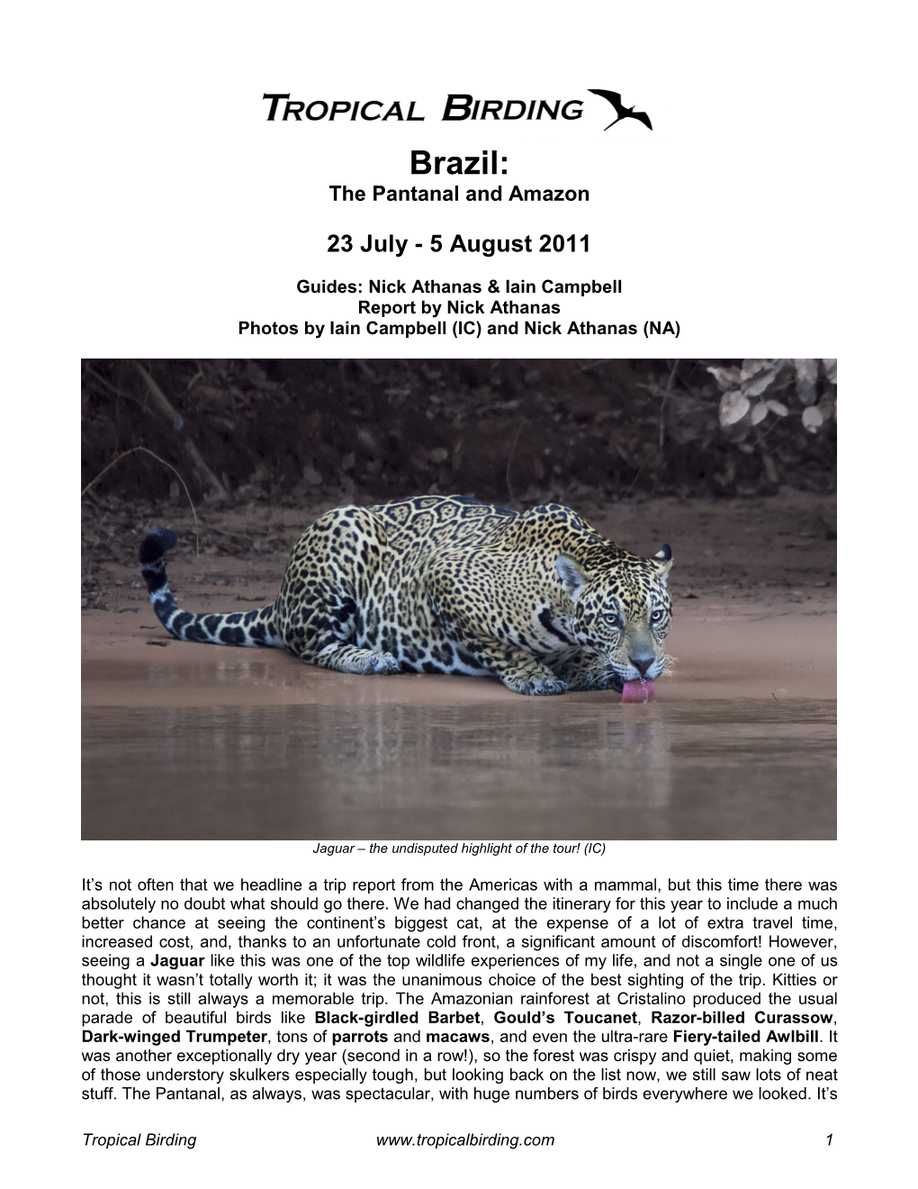 Tropical Birding, Brazil, the Pantanal and Amazon, Jul-Aug 2011