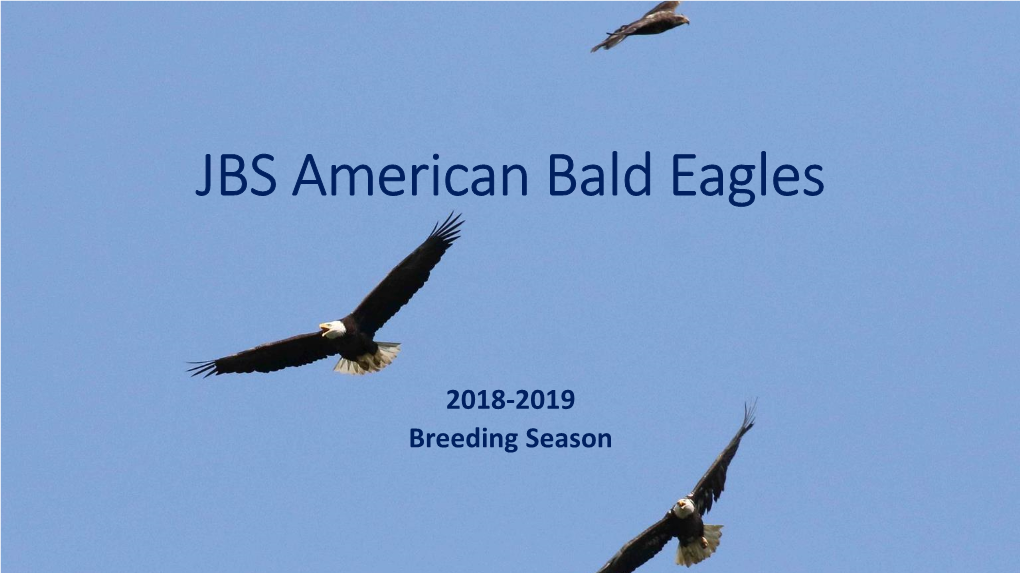 JBS American Bald Eagles