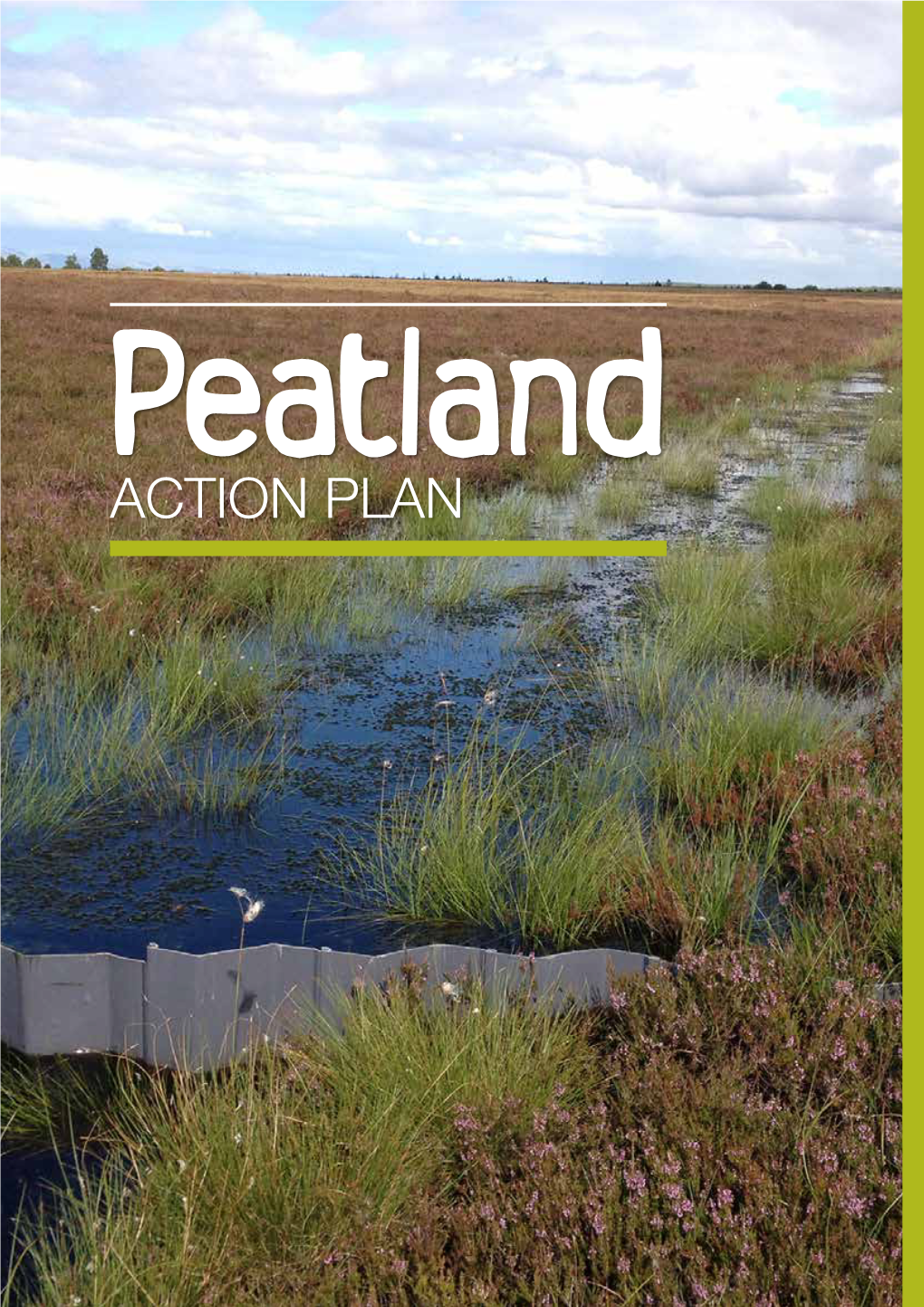 ACTION PLAN 22 PEATLAND: ACTION PLAN Peatland Landscape INTRODUCTION